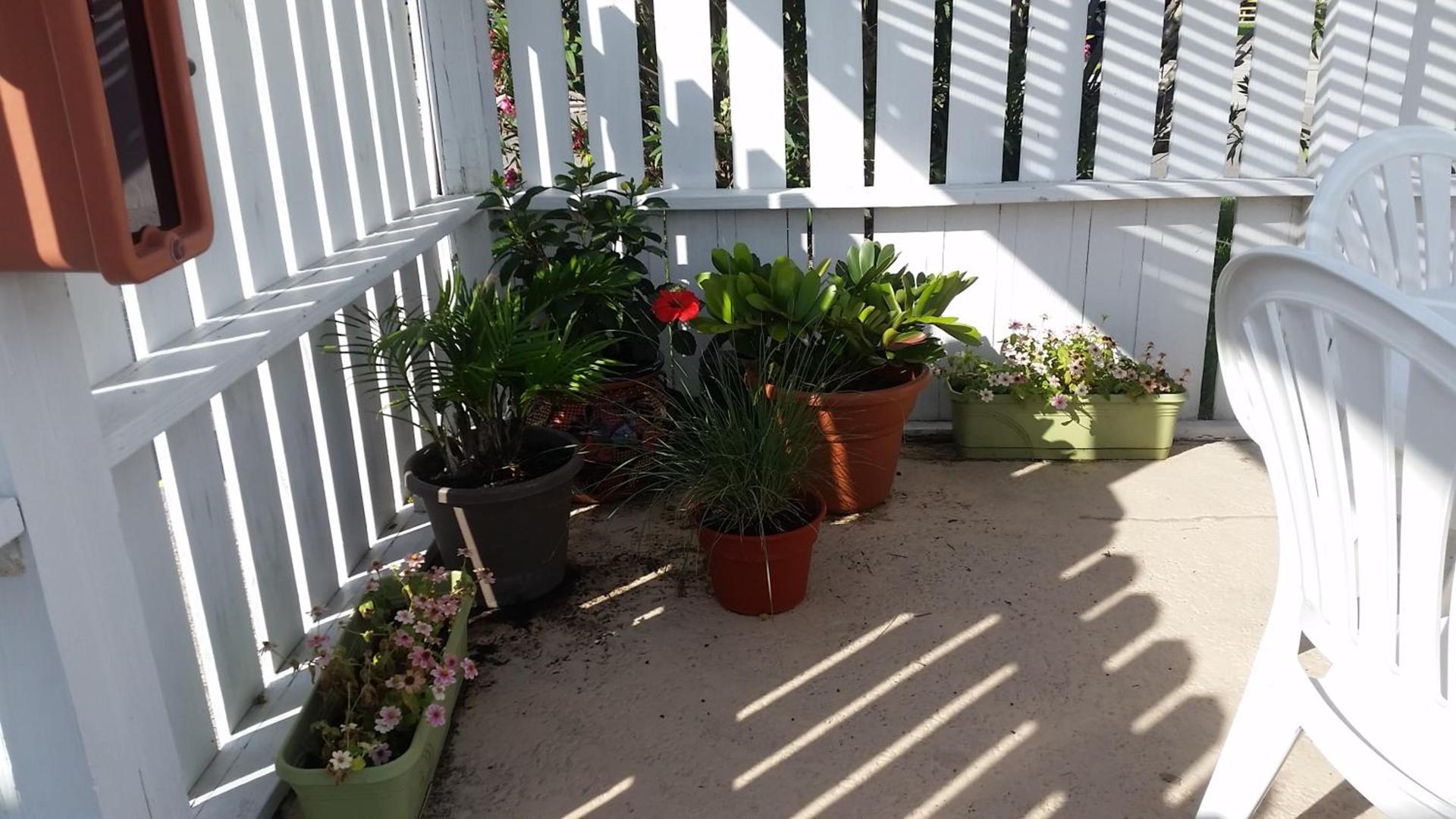 Amelia's Landing photo 32
