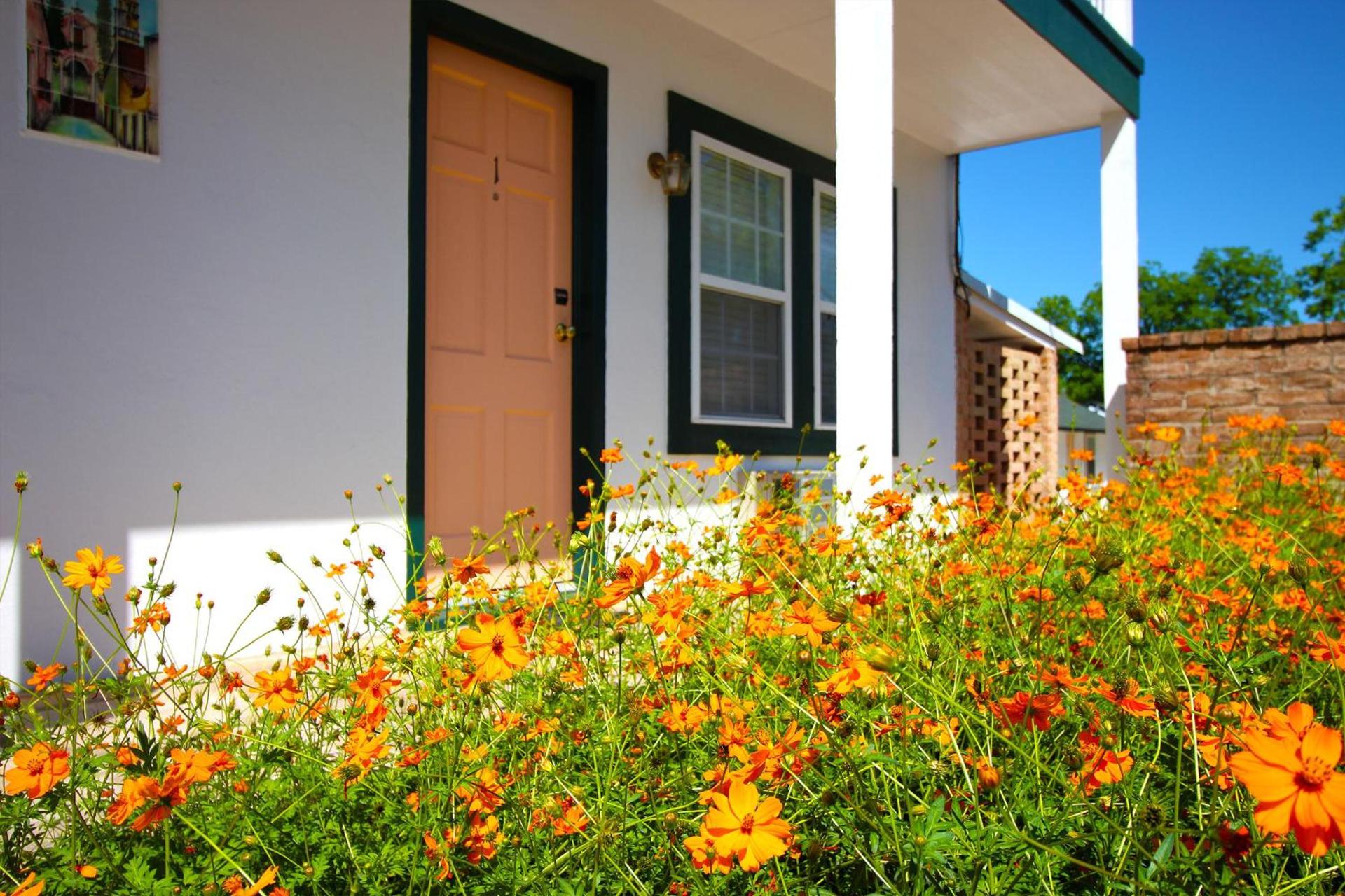 Peach Tree Inn & Suites photo 34