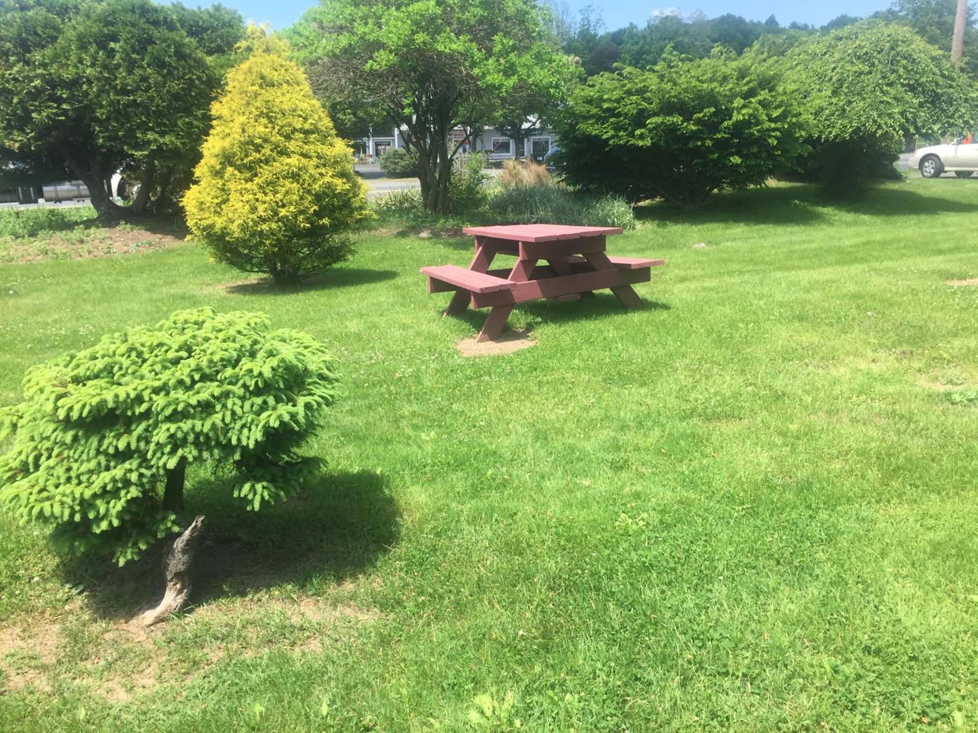The Black Mountain Inn photo 33