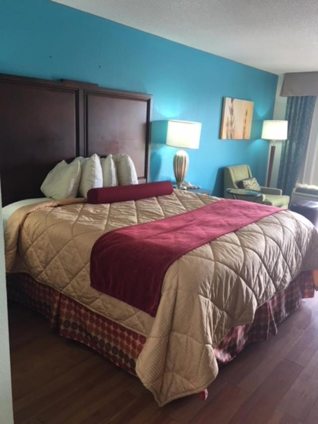 Royal Inn photo 45