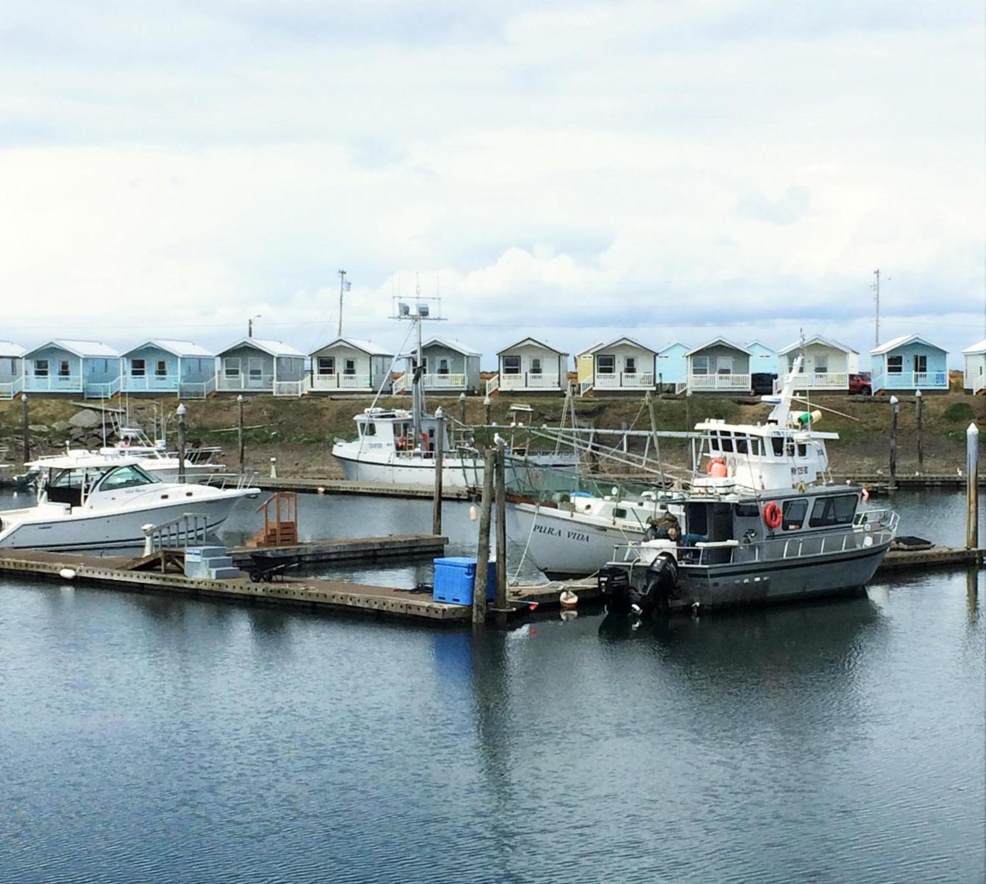 Westport Marina Cottages photo 3