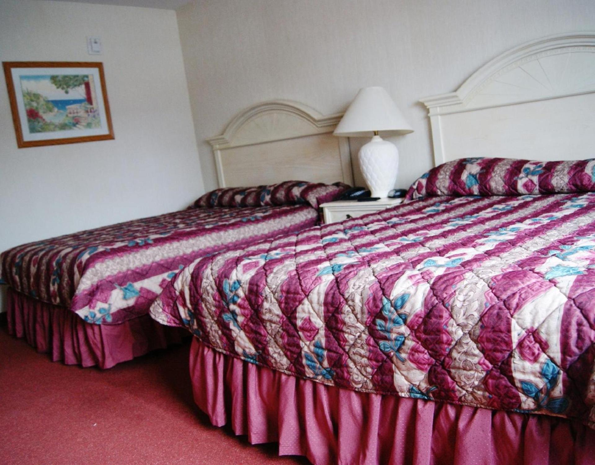 Meadow Court Inn - Ithaca photo 16
