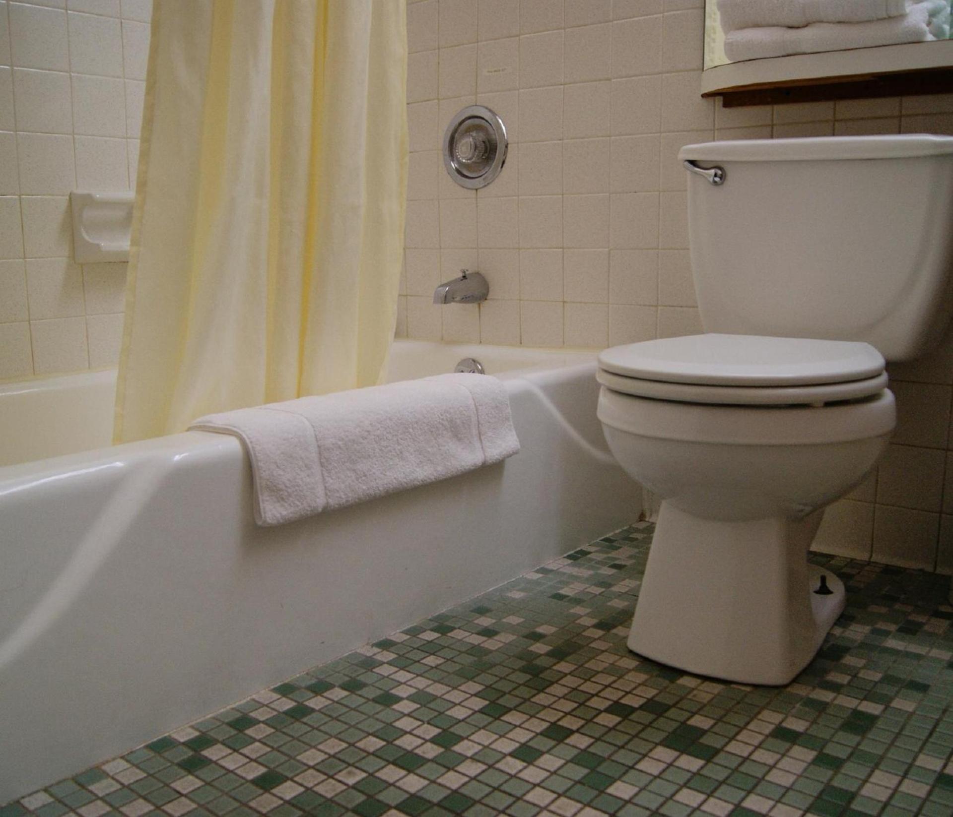 Meadow Court Inn - Ithaca photo 6