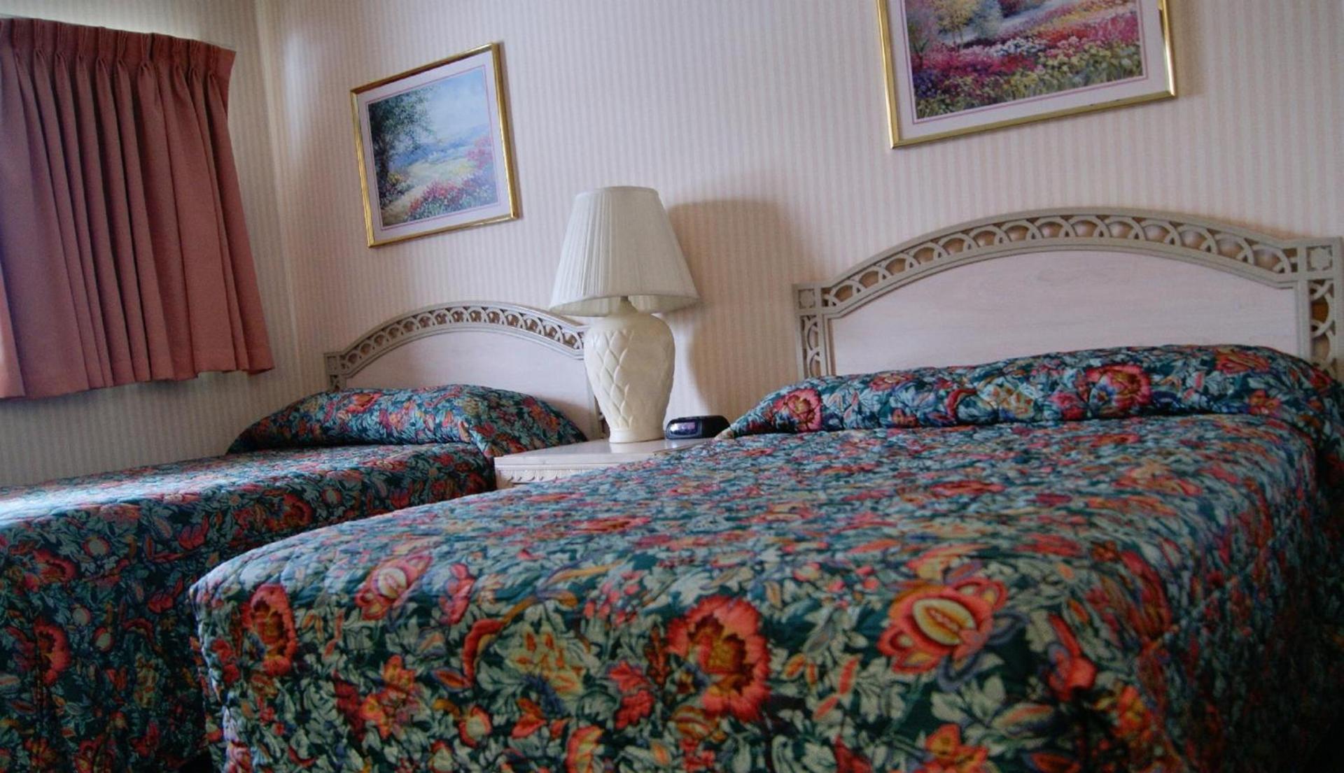 Meadow Court Inn - Ithaca photo 19