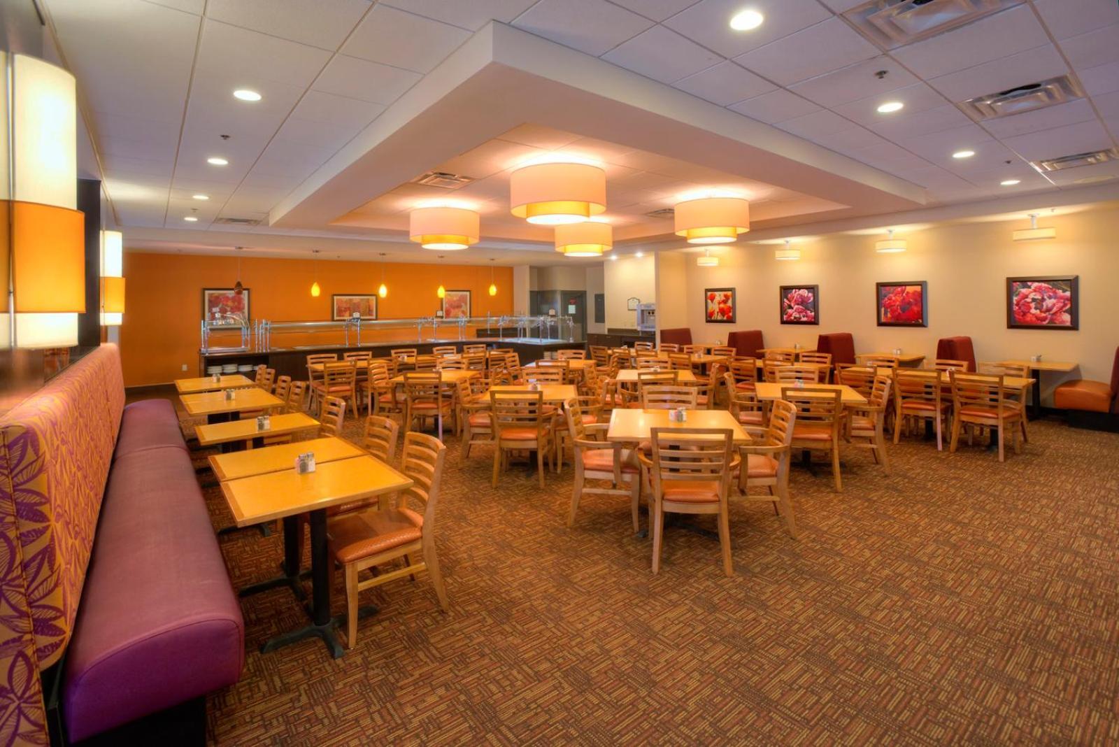 Rosen Inn International Near The Parks photo 27