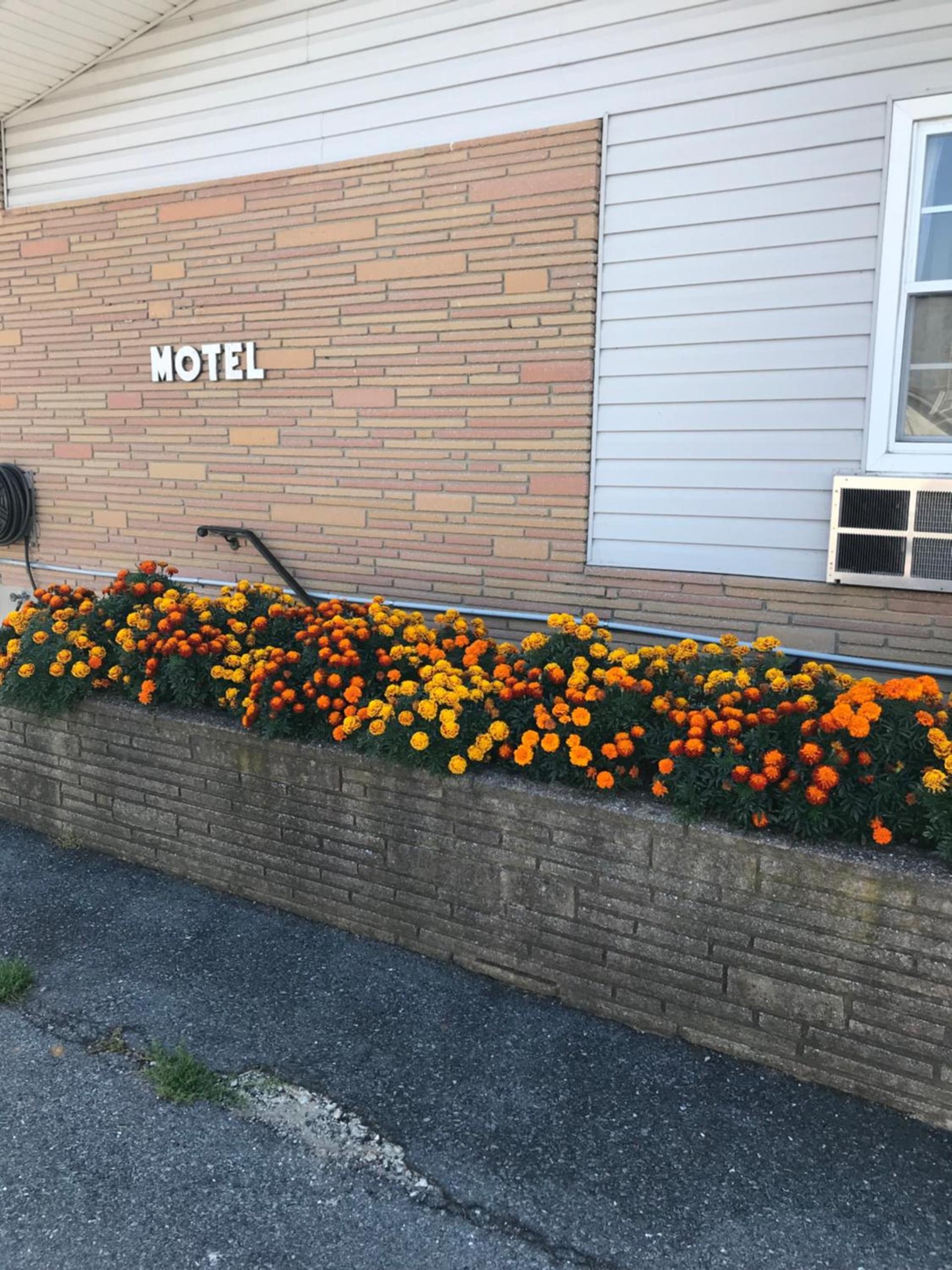 Dutch Motel Palmyra photo 45