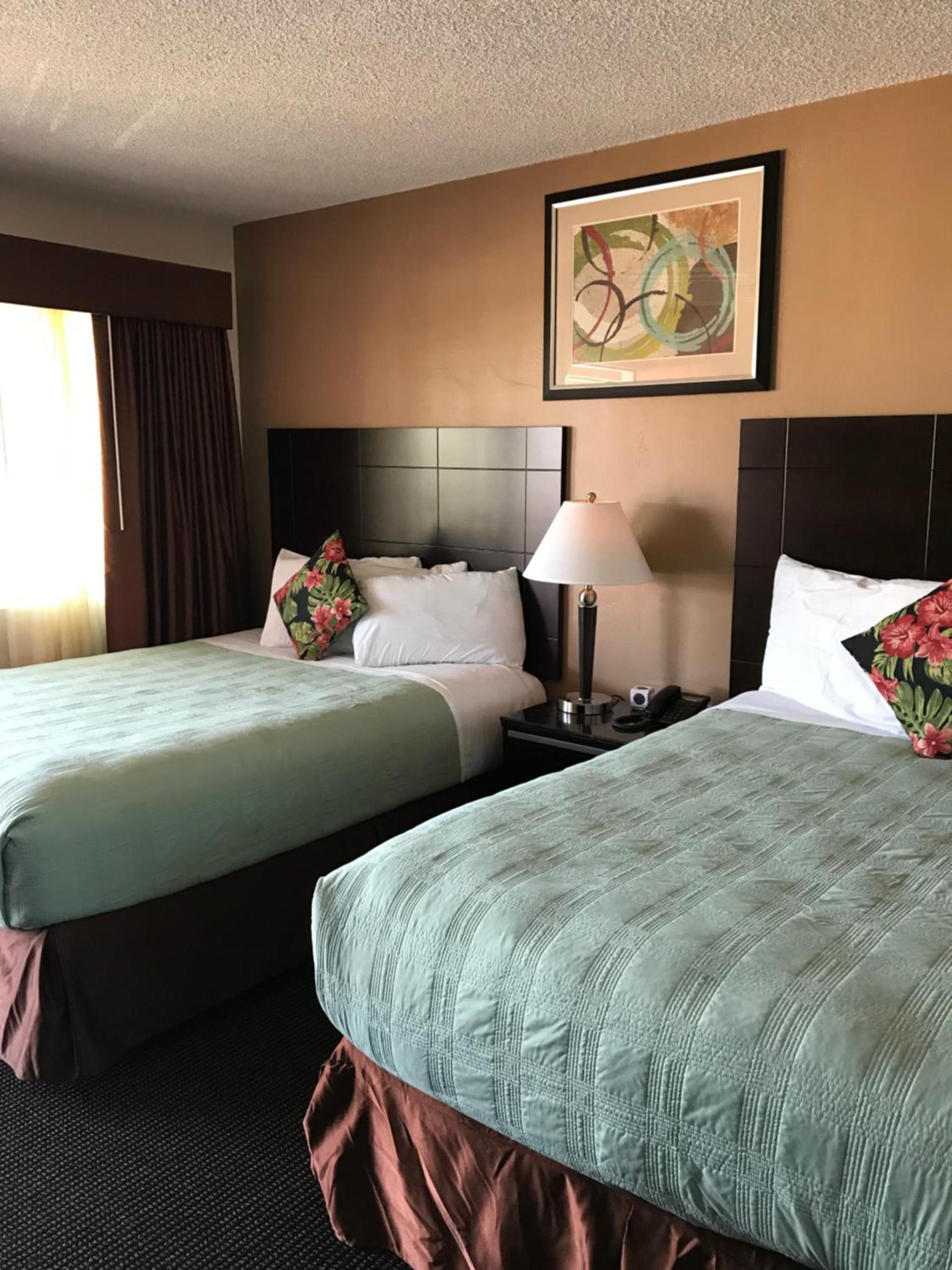 Morro Crest Inn photo 51