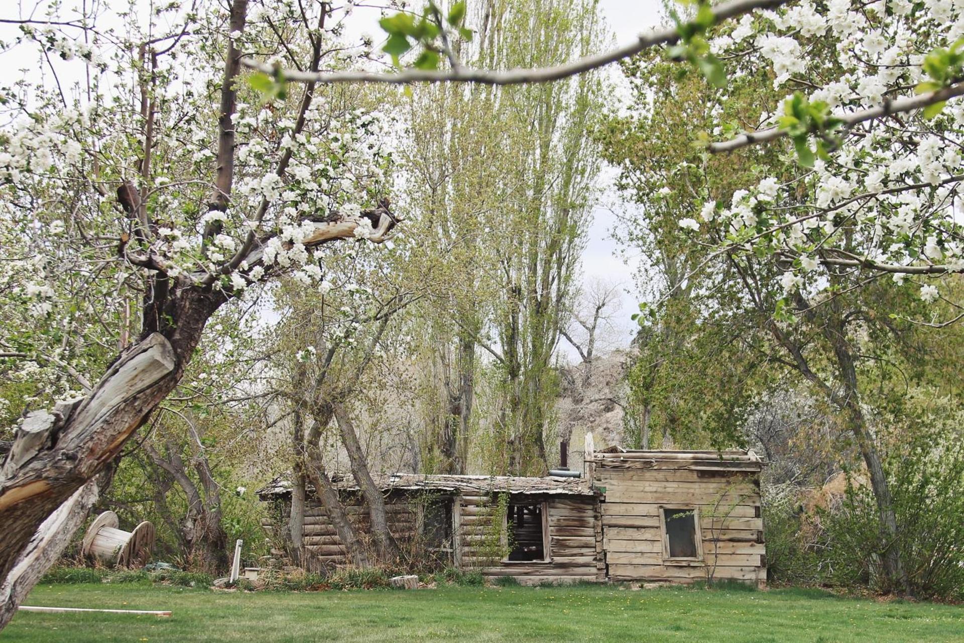 Hidden Canyon Retreat photo 13