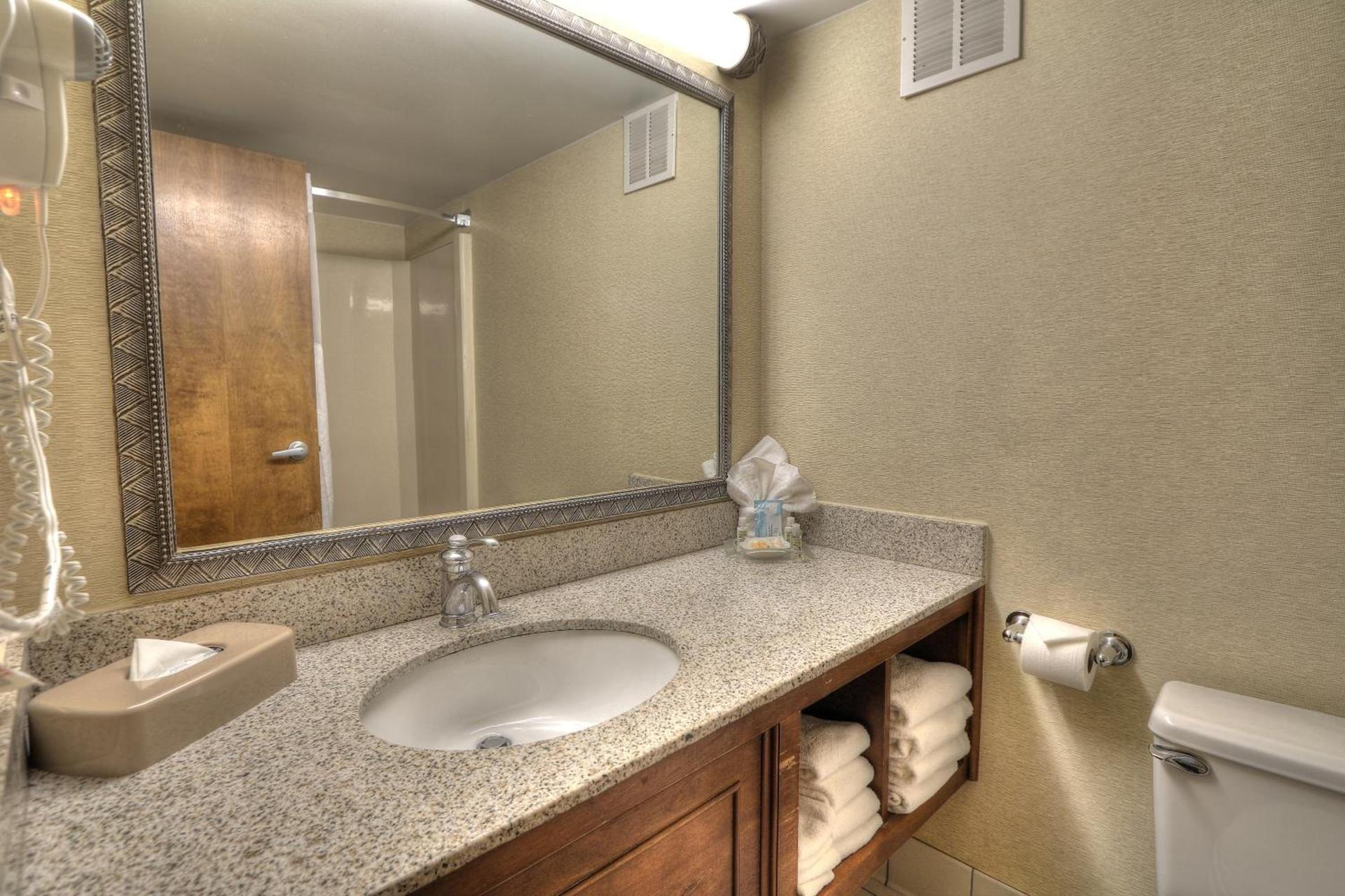 The Ramsey Hotel and Convention Center Pigeon Forge photo 18