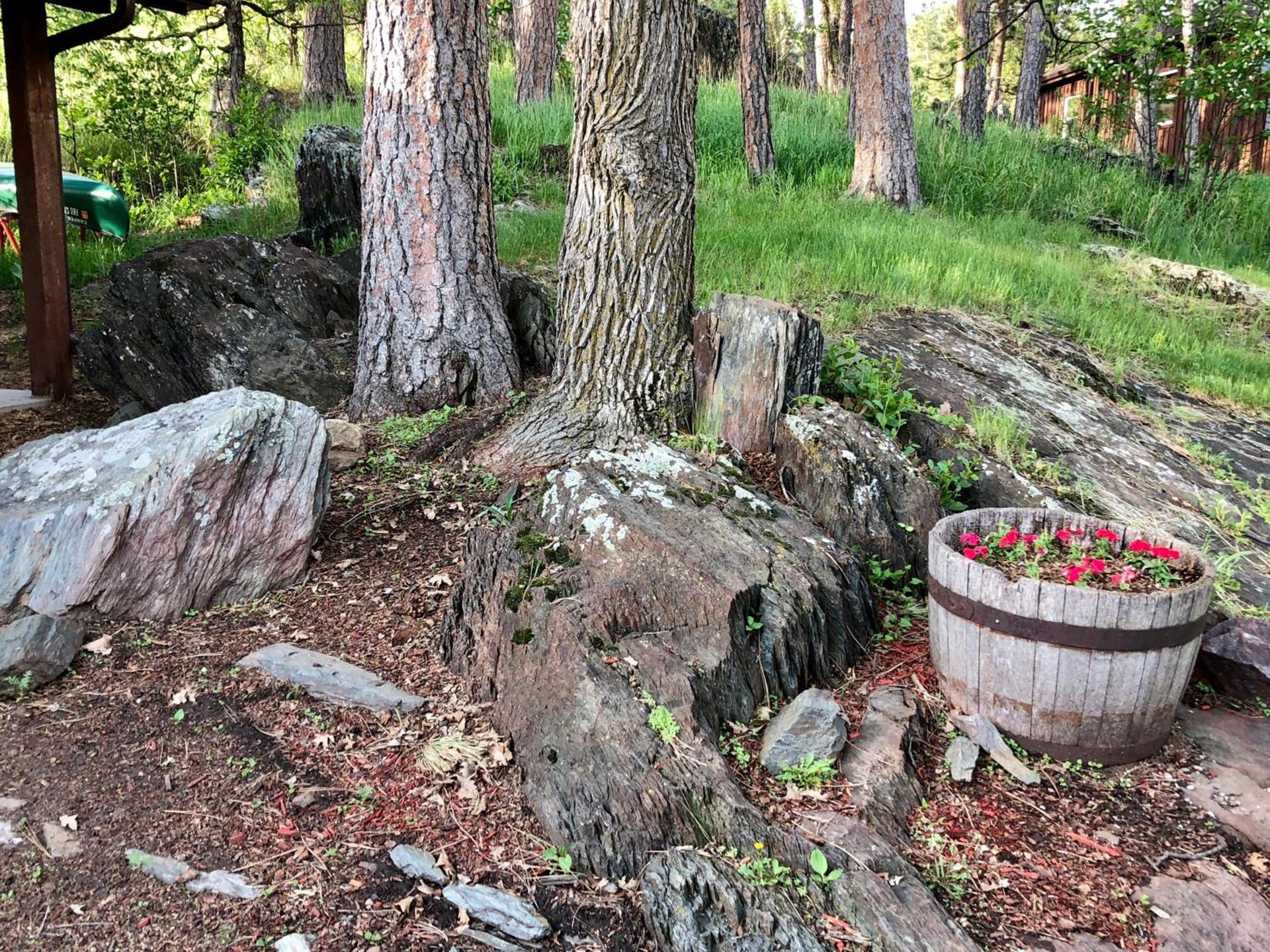 Rockerville Lodge & Cabins photo 97