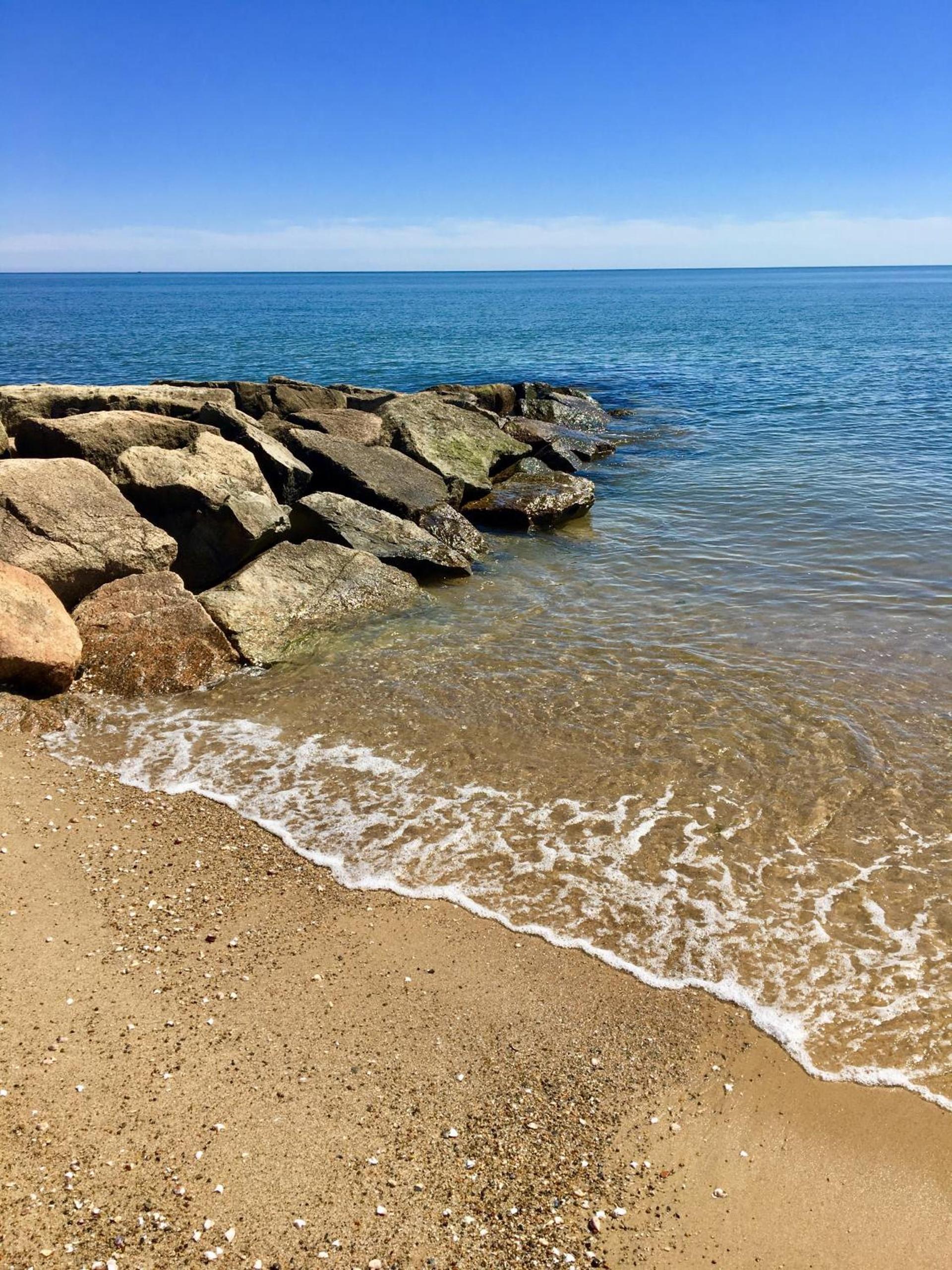 Kingfisher Oceanside photo 29