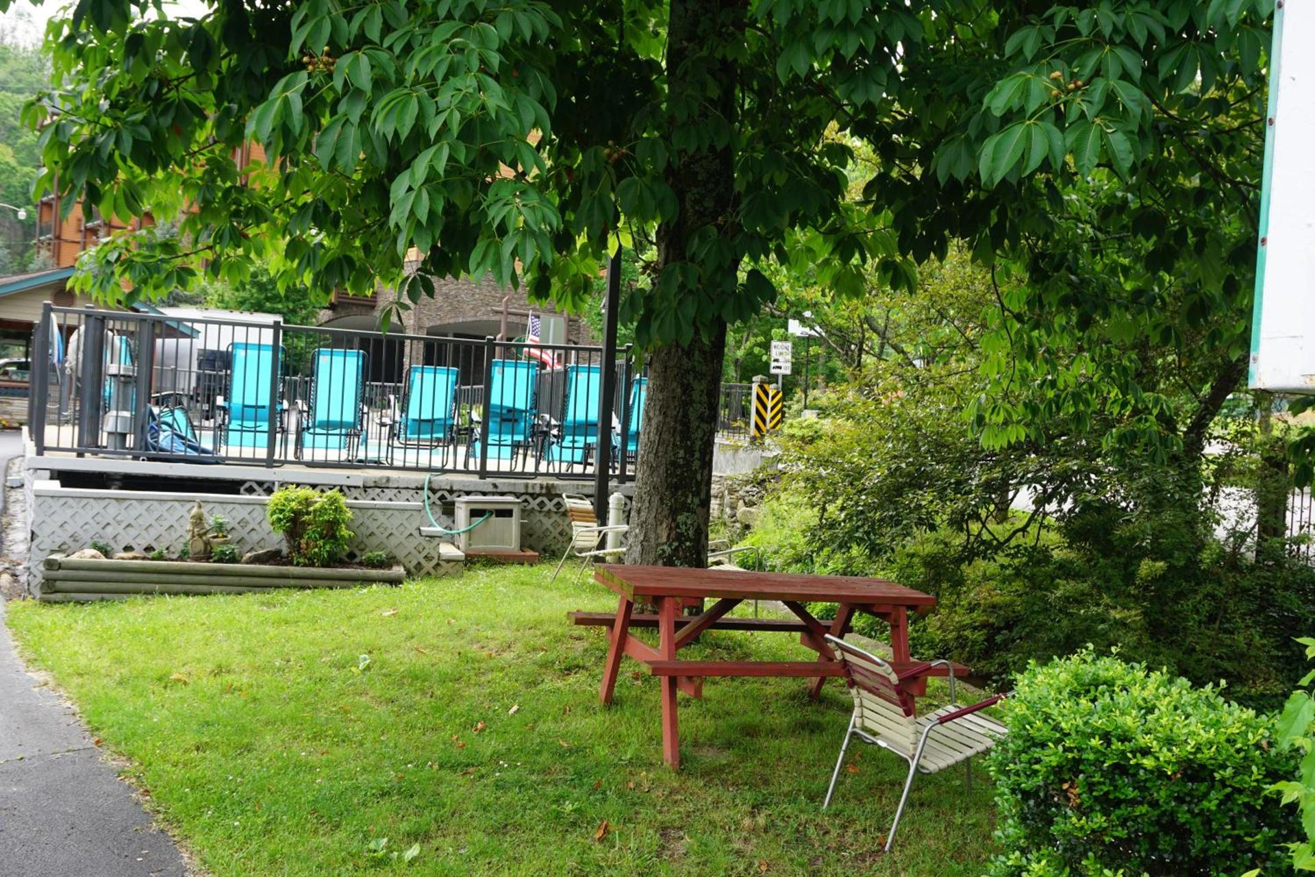 Marshall's Creek Rest Motel photo 68