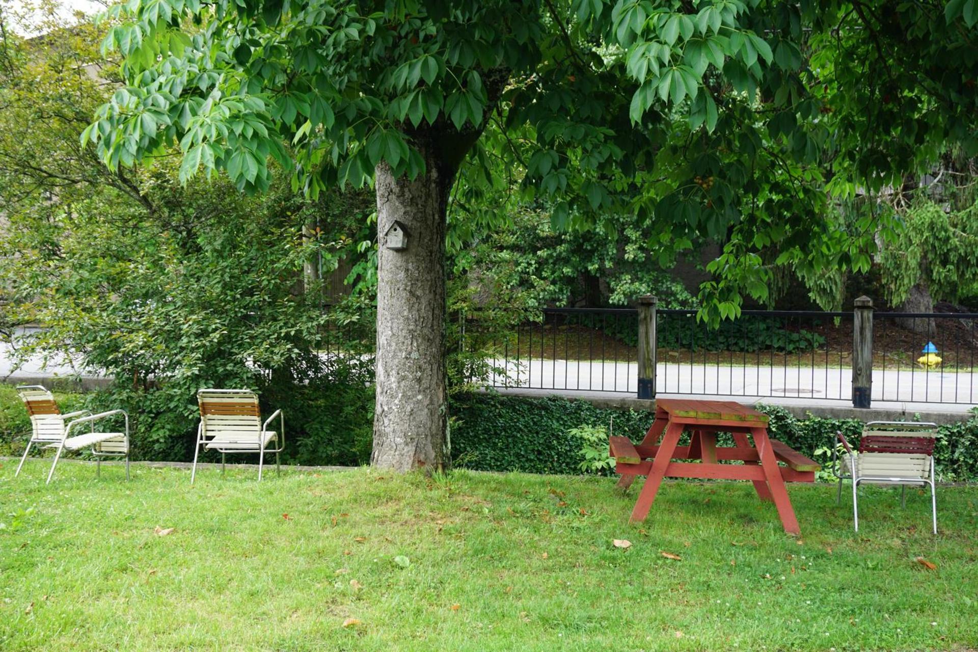 Marshall's Creek Rest Motel photo 28
