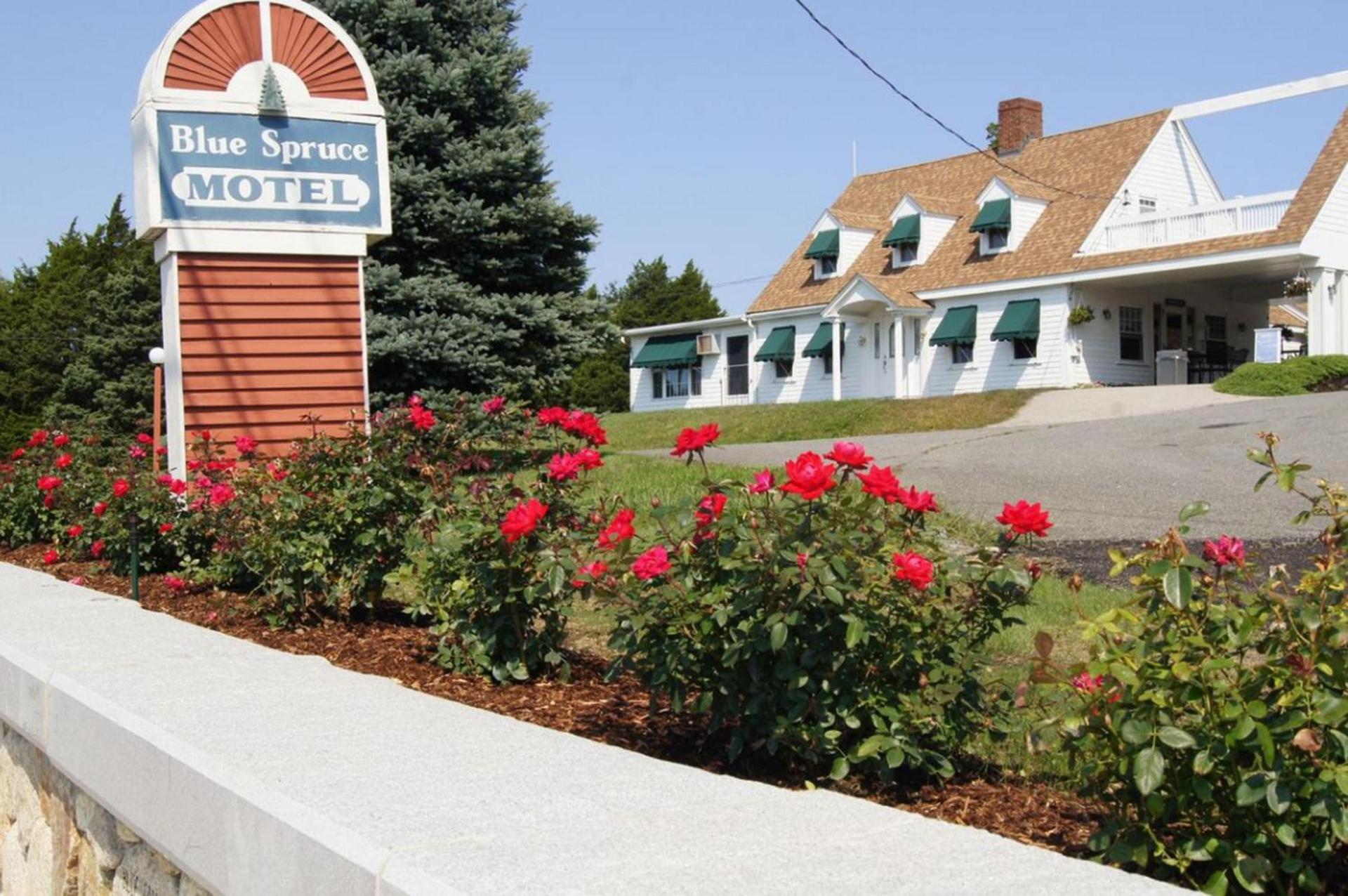 Blue Spruce — hotel in Plymouth