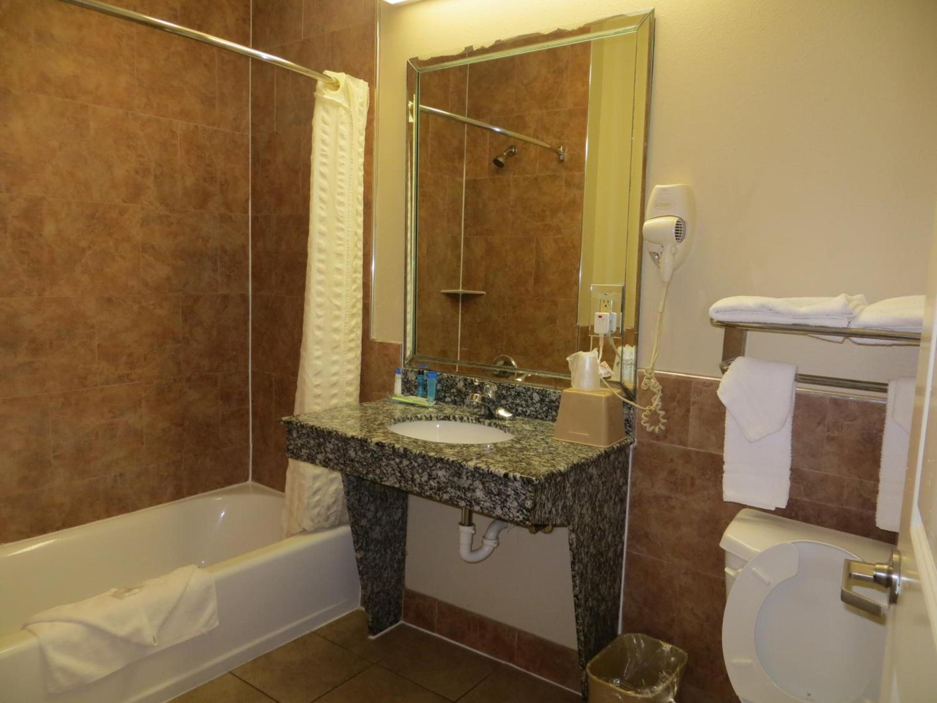 Palace Inn Westheimer photo 10