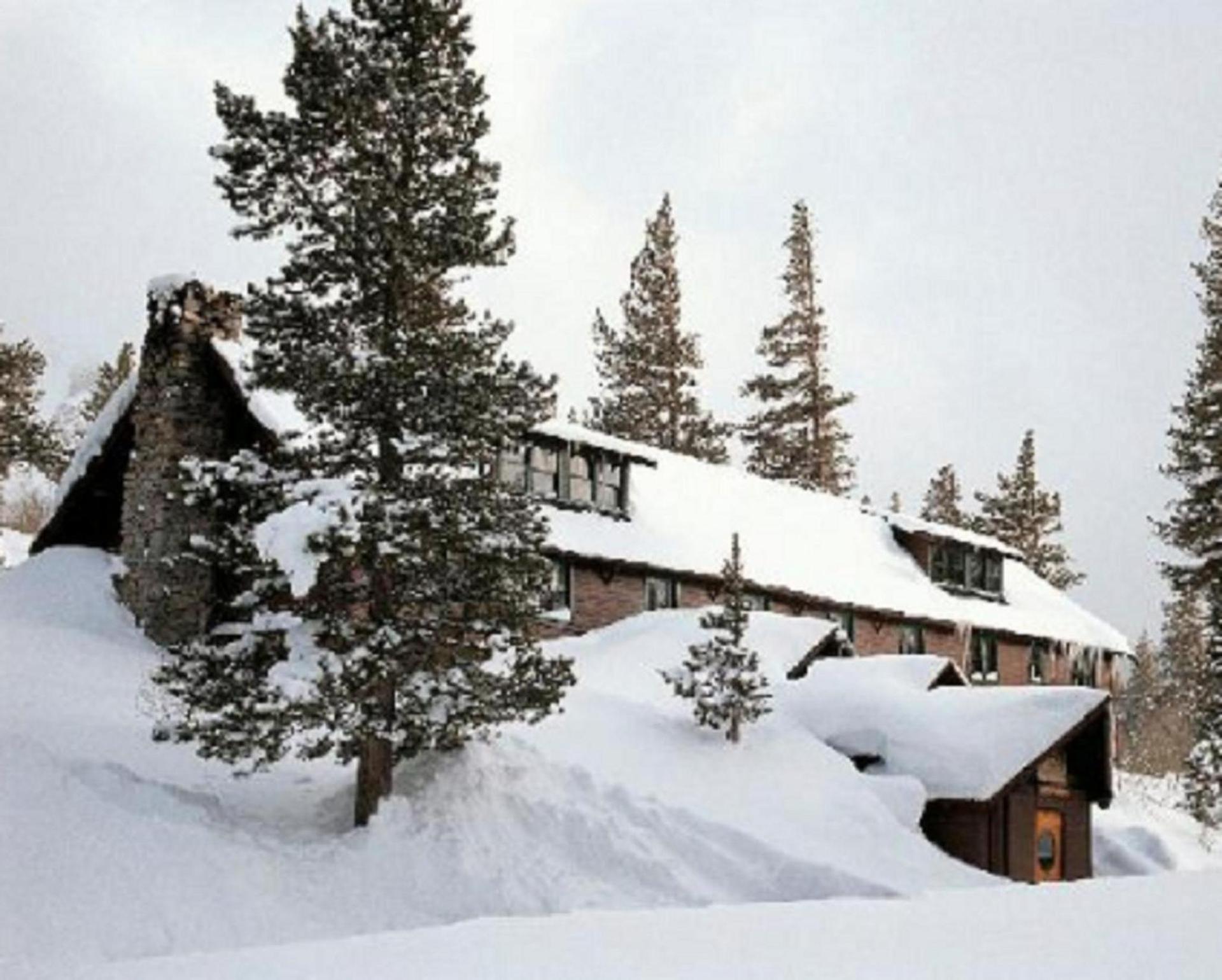 Tamarack Lodge photo 1
