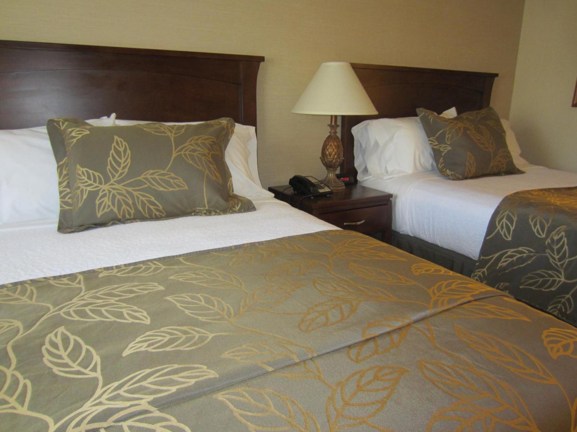 Days Inn by Wyndham San Diego Hotel Circle photo 58
