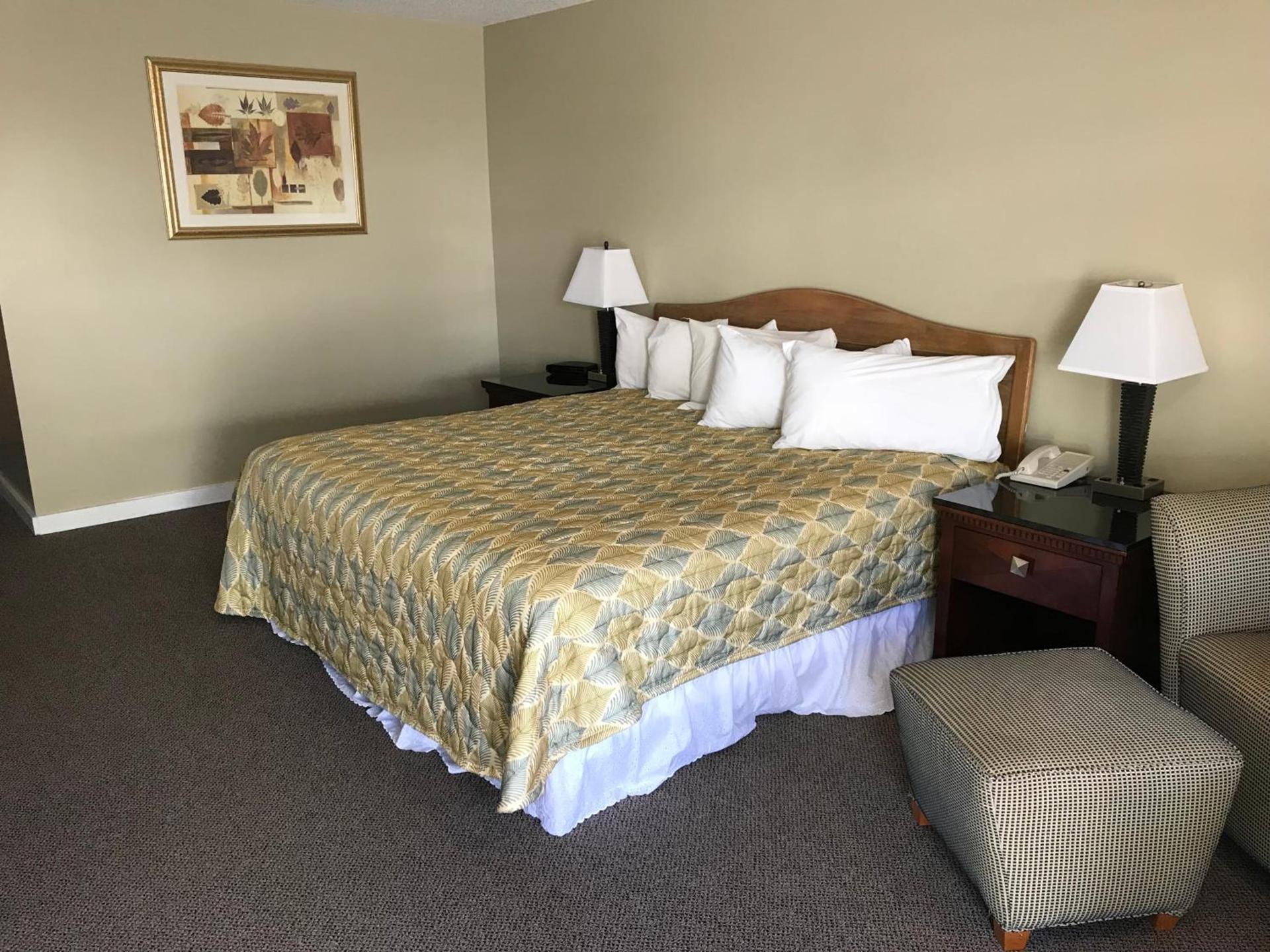 White Birches Motel photo 40