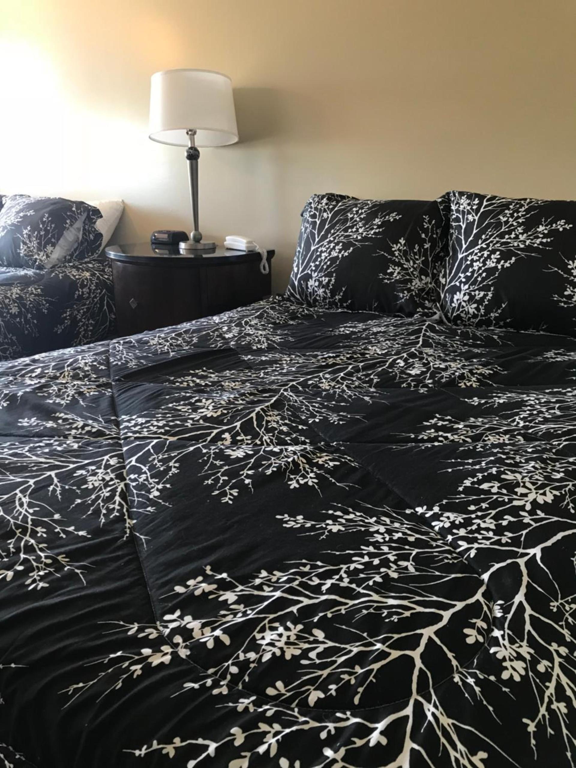 White Birches Motel photo 90