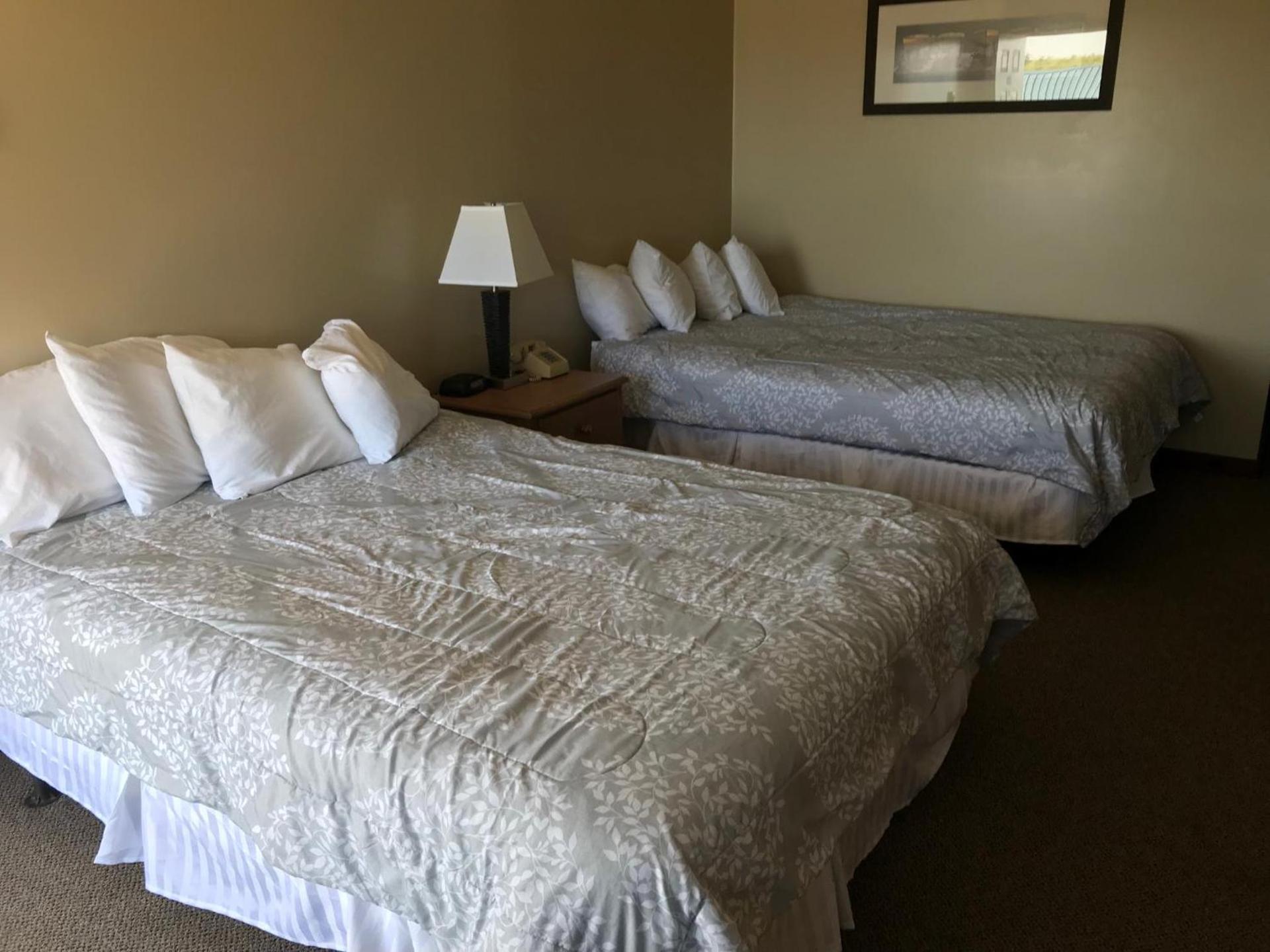 White Birches Motel photo 82
