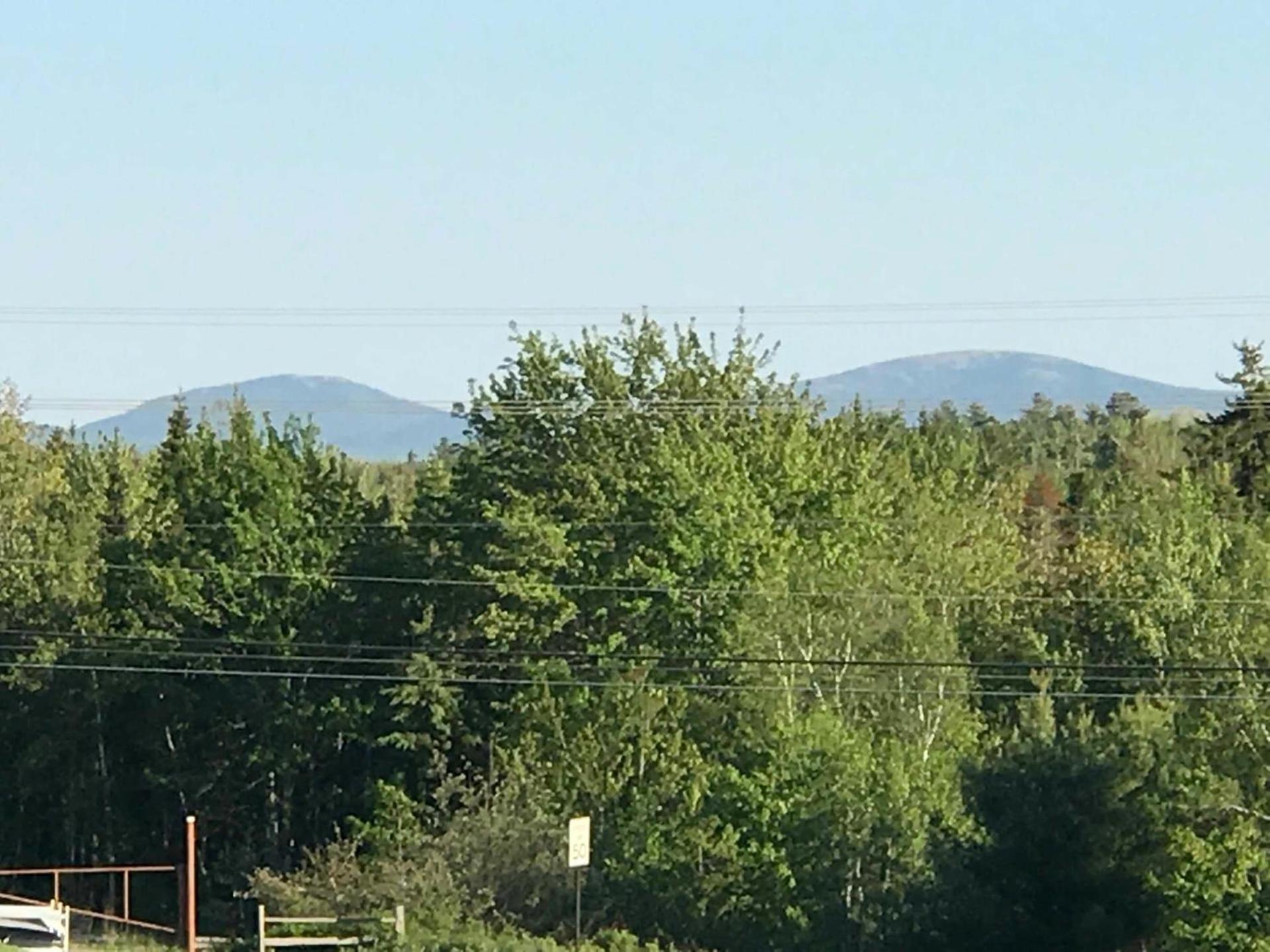 White Birches Motel photo 74