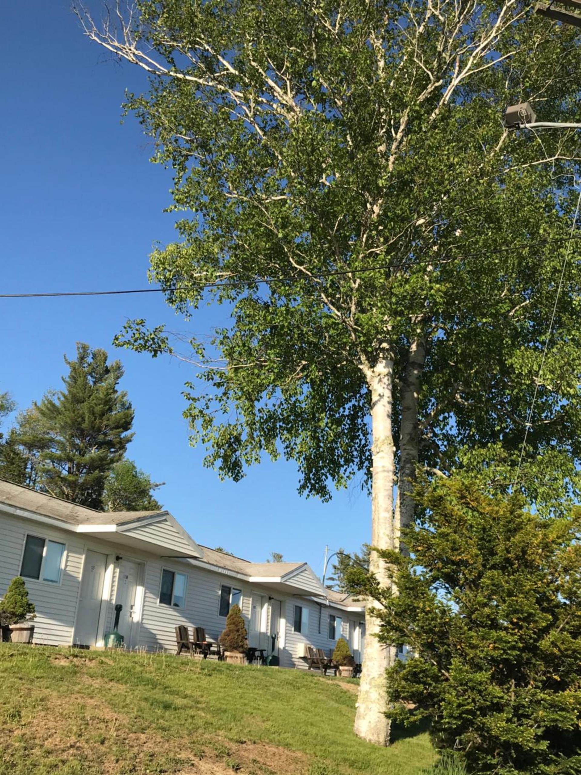 White Birches Motel photo 72
