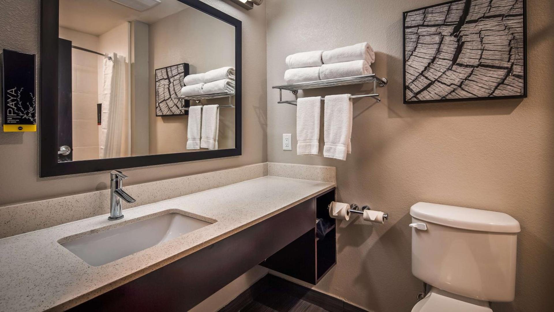 Best Western Plus Bay City Inn & Suites photo 12