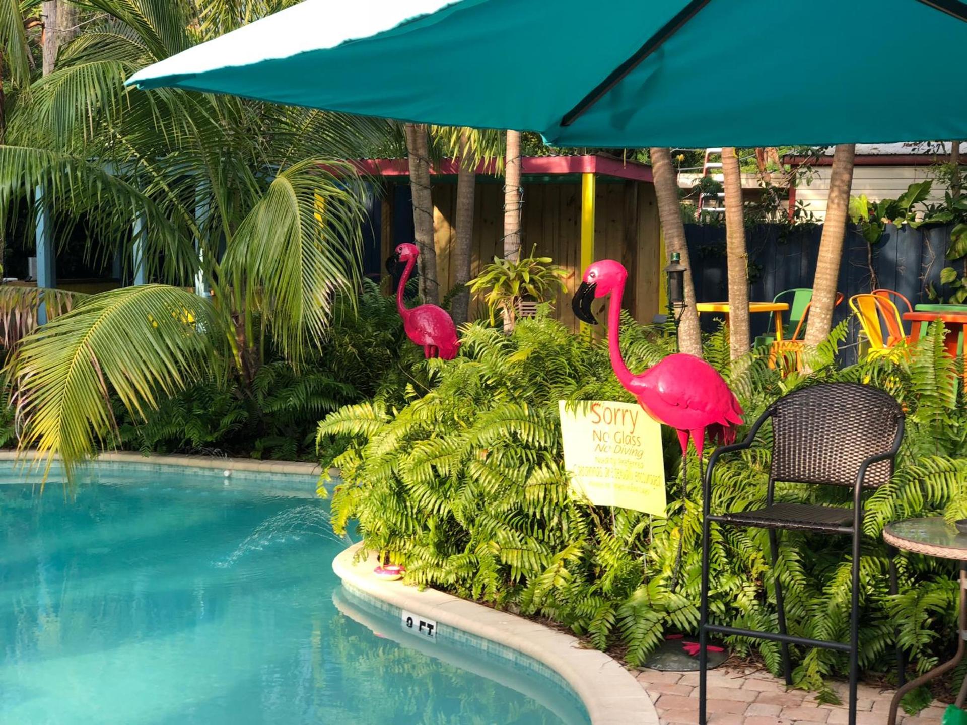 Calypso Inn Wilton Gay Male Resort photo 6
