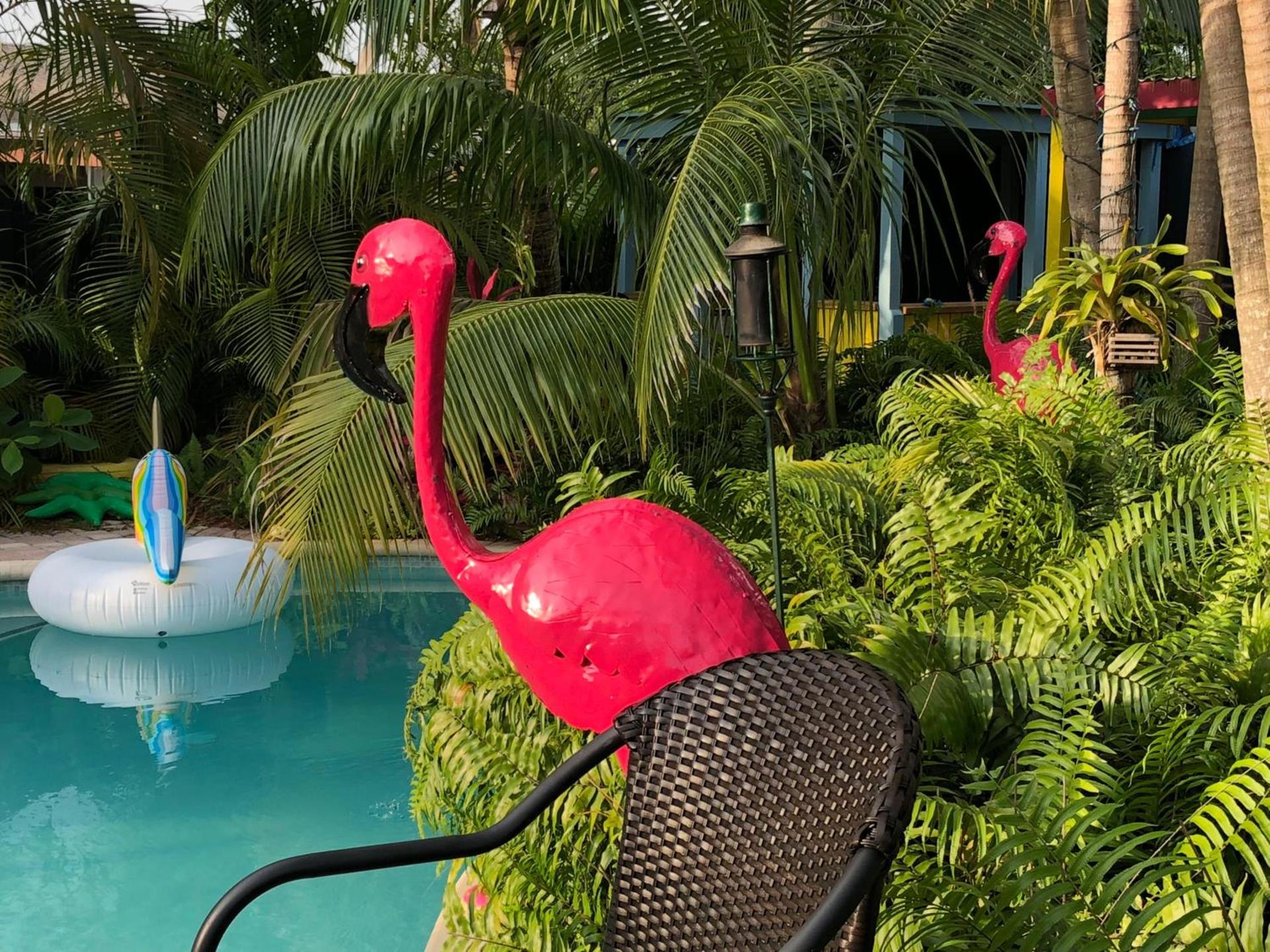 Calypso Inn Wilton Gay Male Resort photo 8