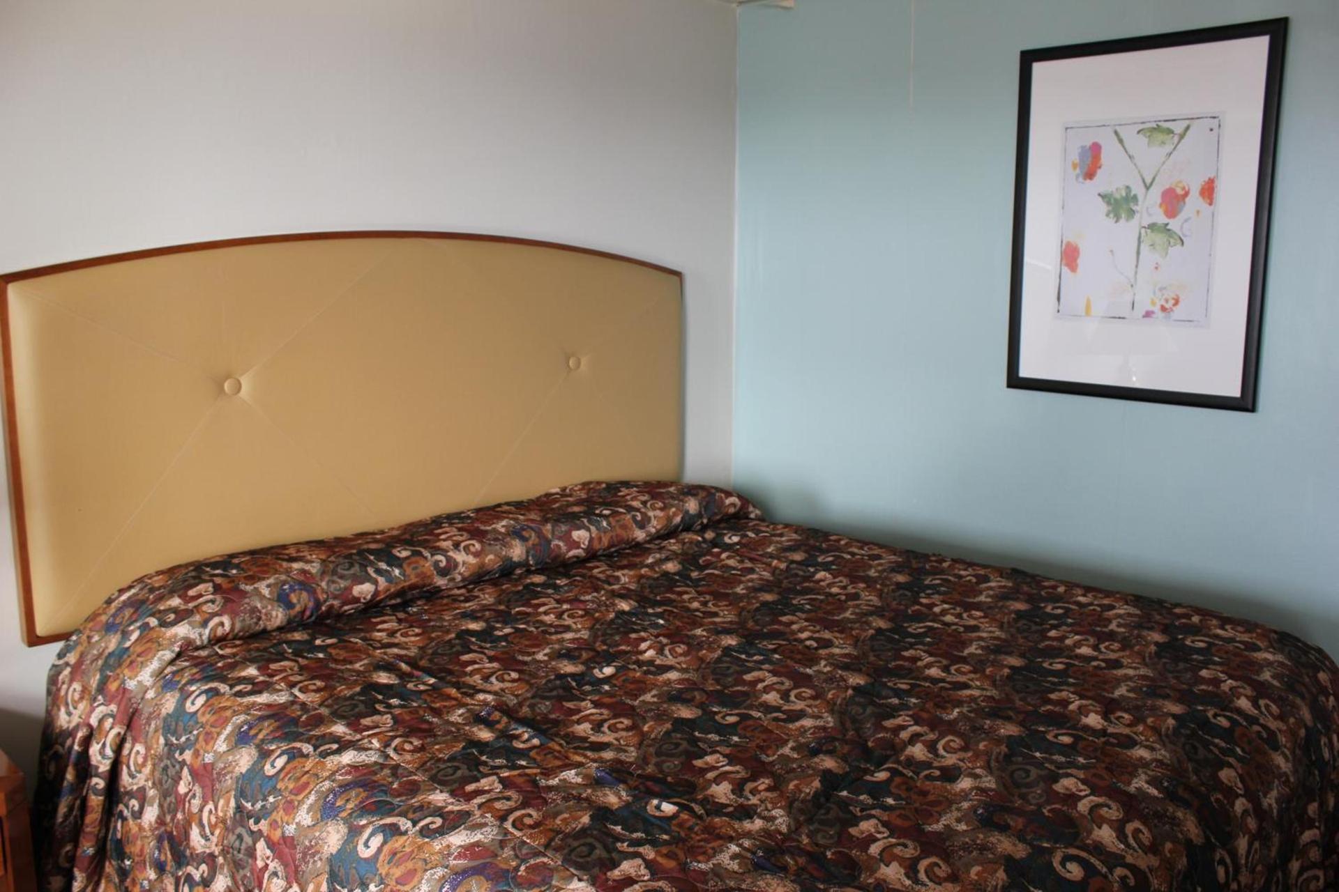 Midlands Lodge photo 16
