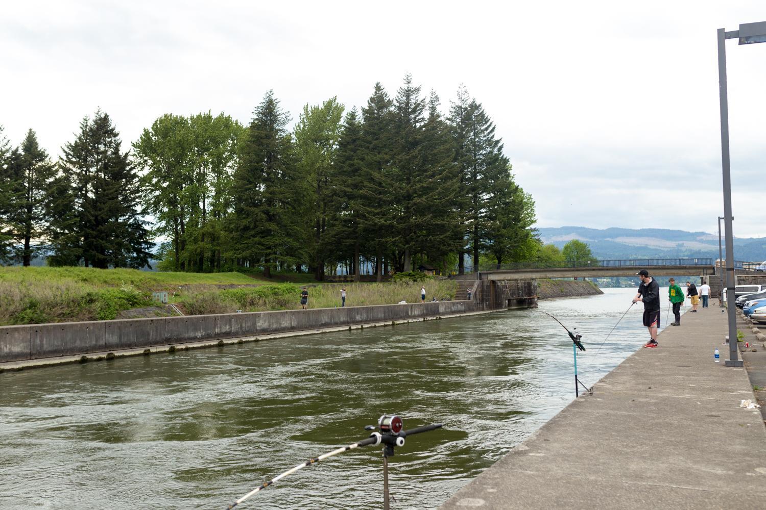 Columbia Gorge Inn photo 4