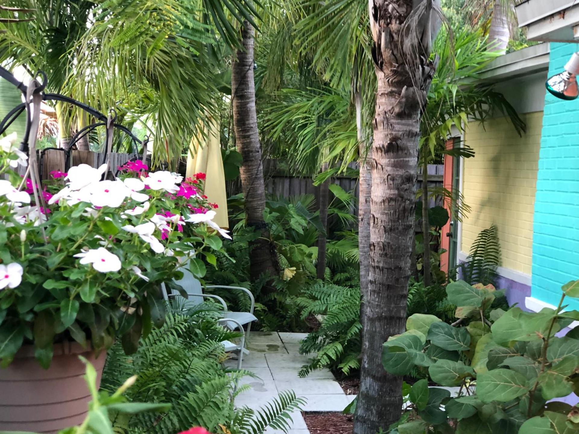 Calypso Inn Wilton Gay Male Resort photo 12