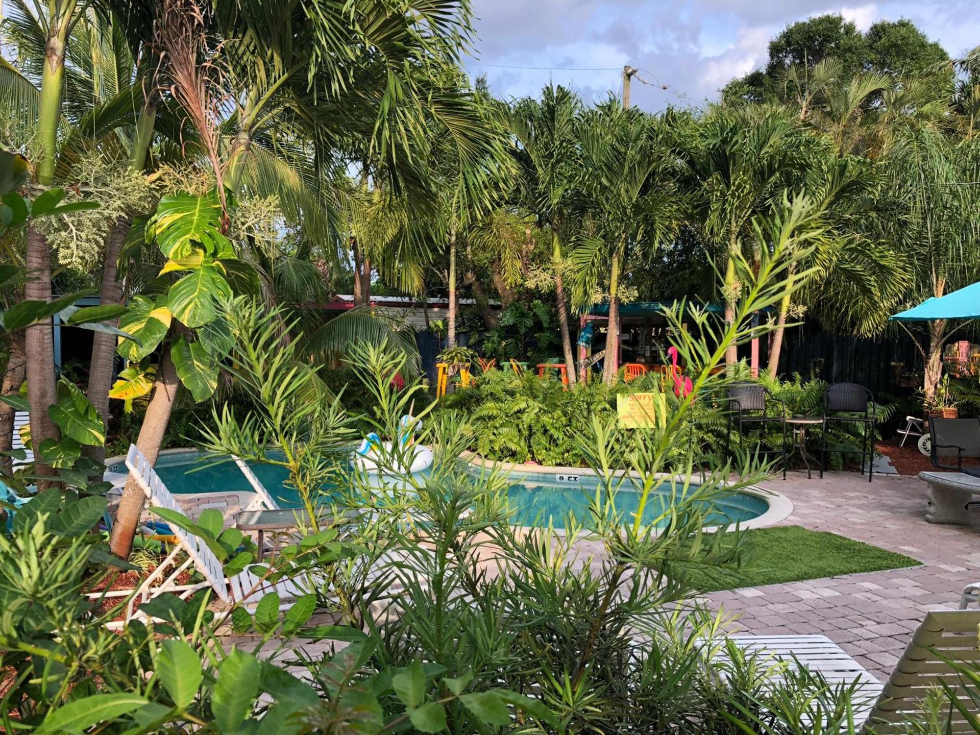 Calypso Inn Wilton Gay Male Resort photo 3