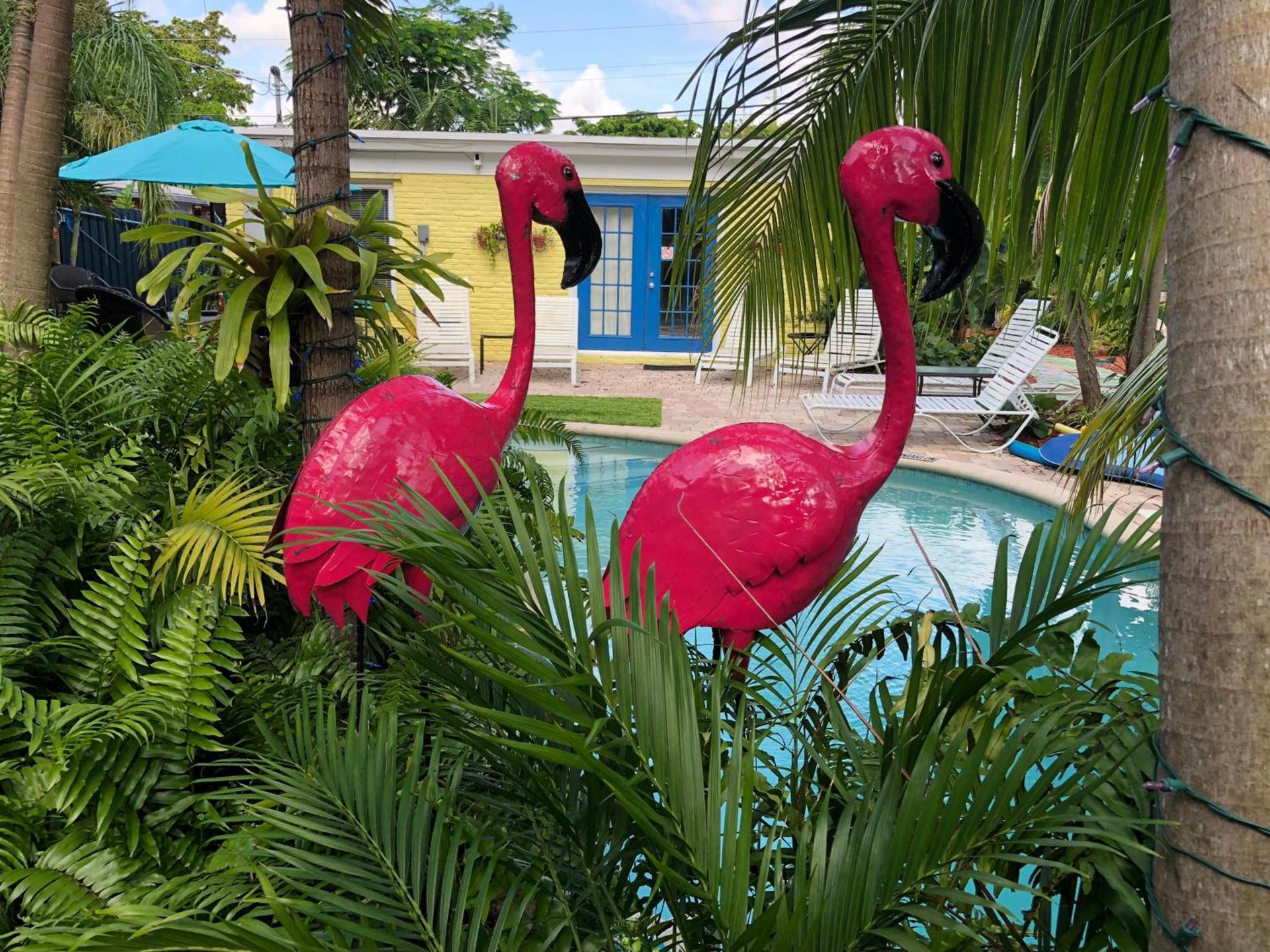 Calypso Inn Wilton Gay Male Resort photo 2