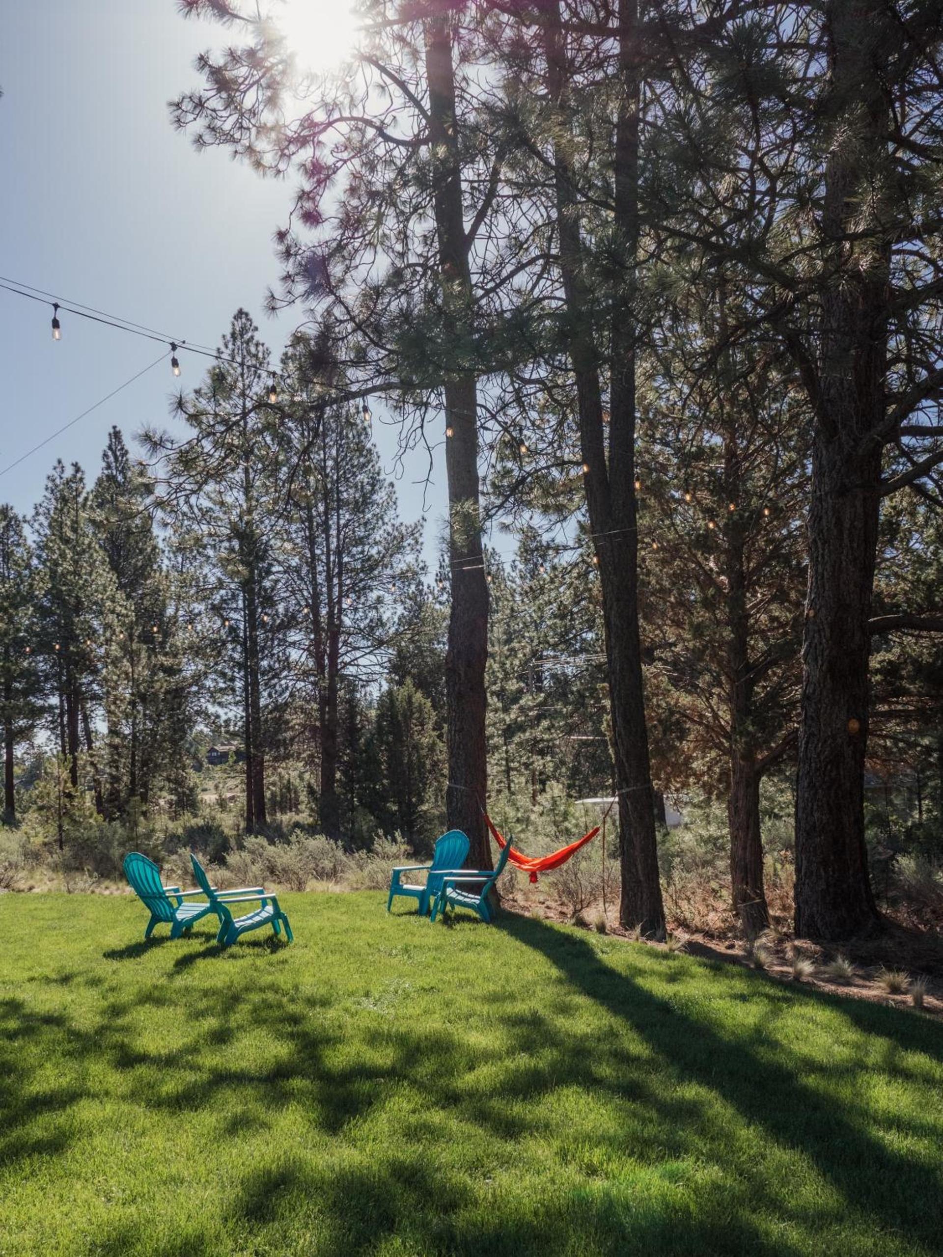 LOGE Bend photo 13