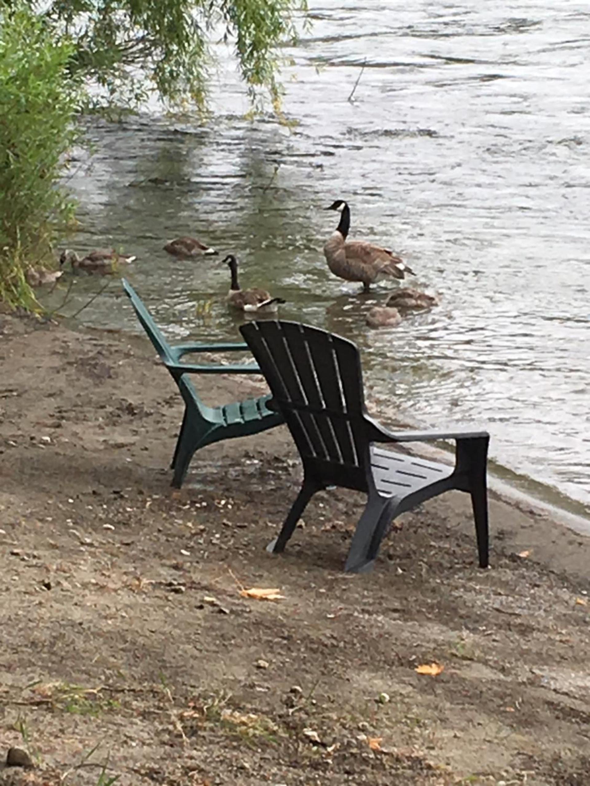 River's Edge Lodge photo 5