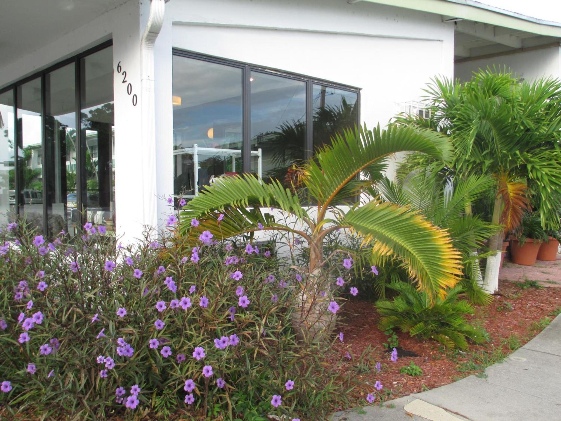 Shalimar Motel photo 26