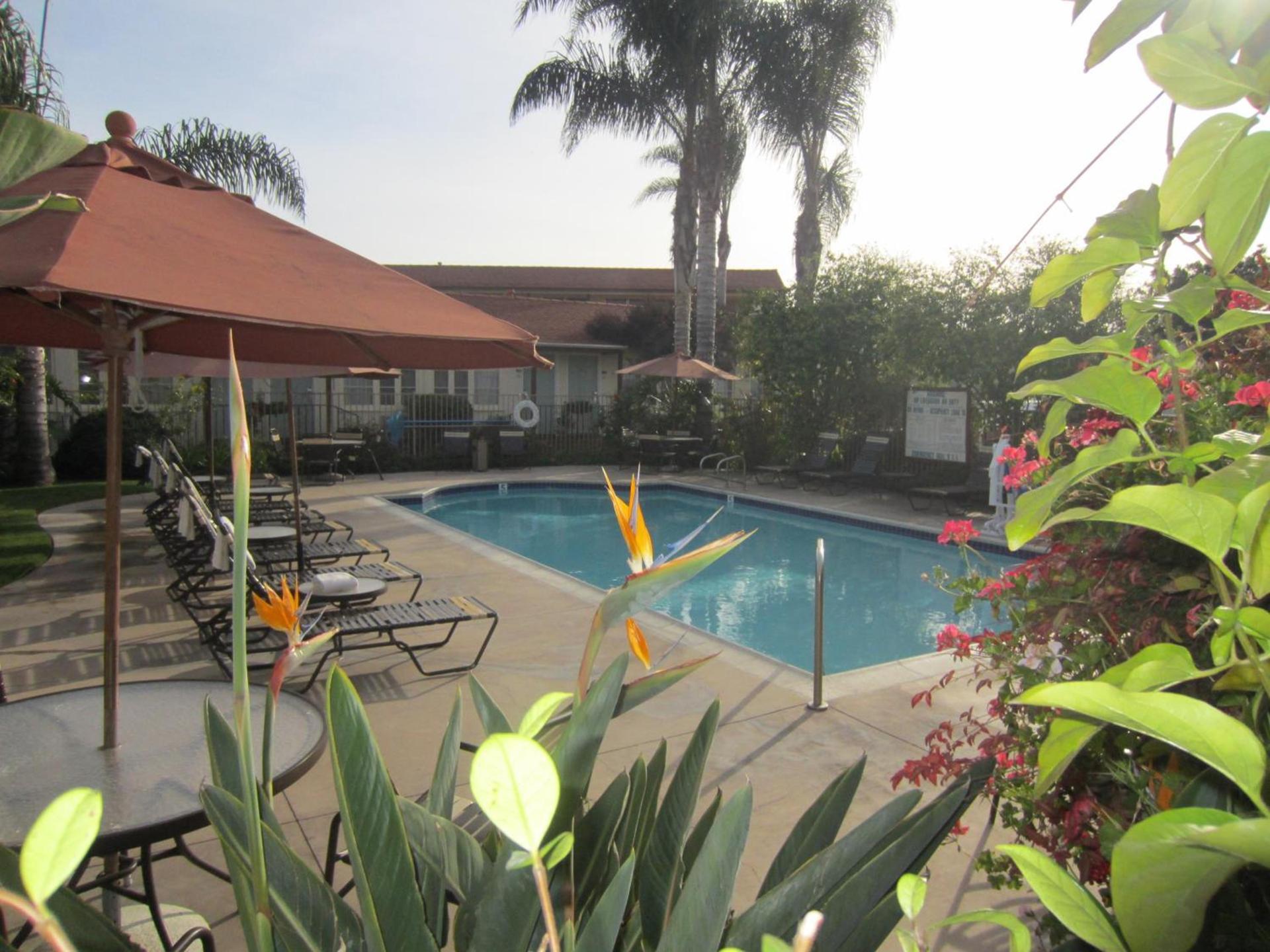 Old Town Inn photo 6