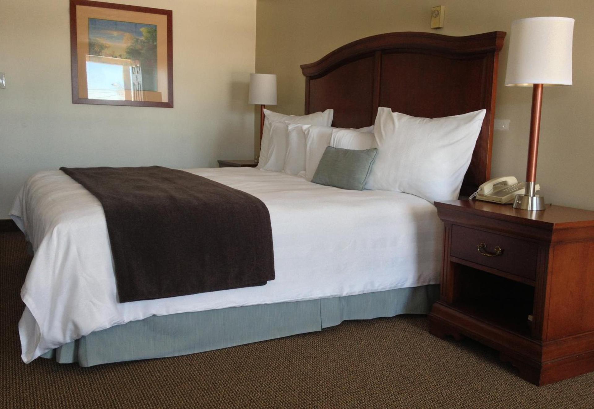 Holiday Hill Inn & Suites photo 46