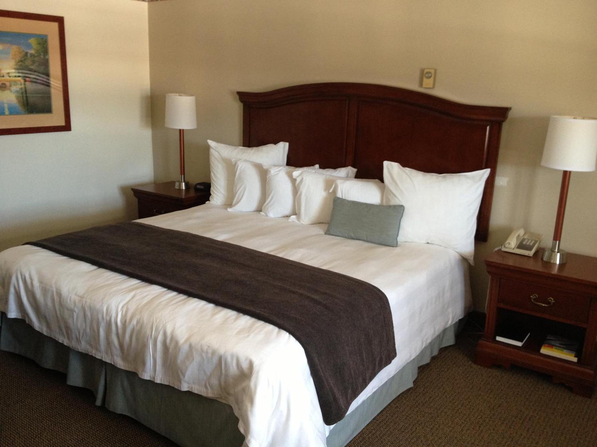 Holiday Hill Inn & Suites photo 33
