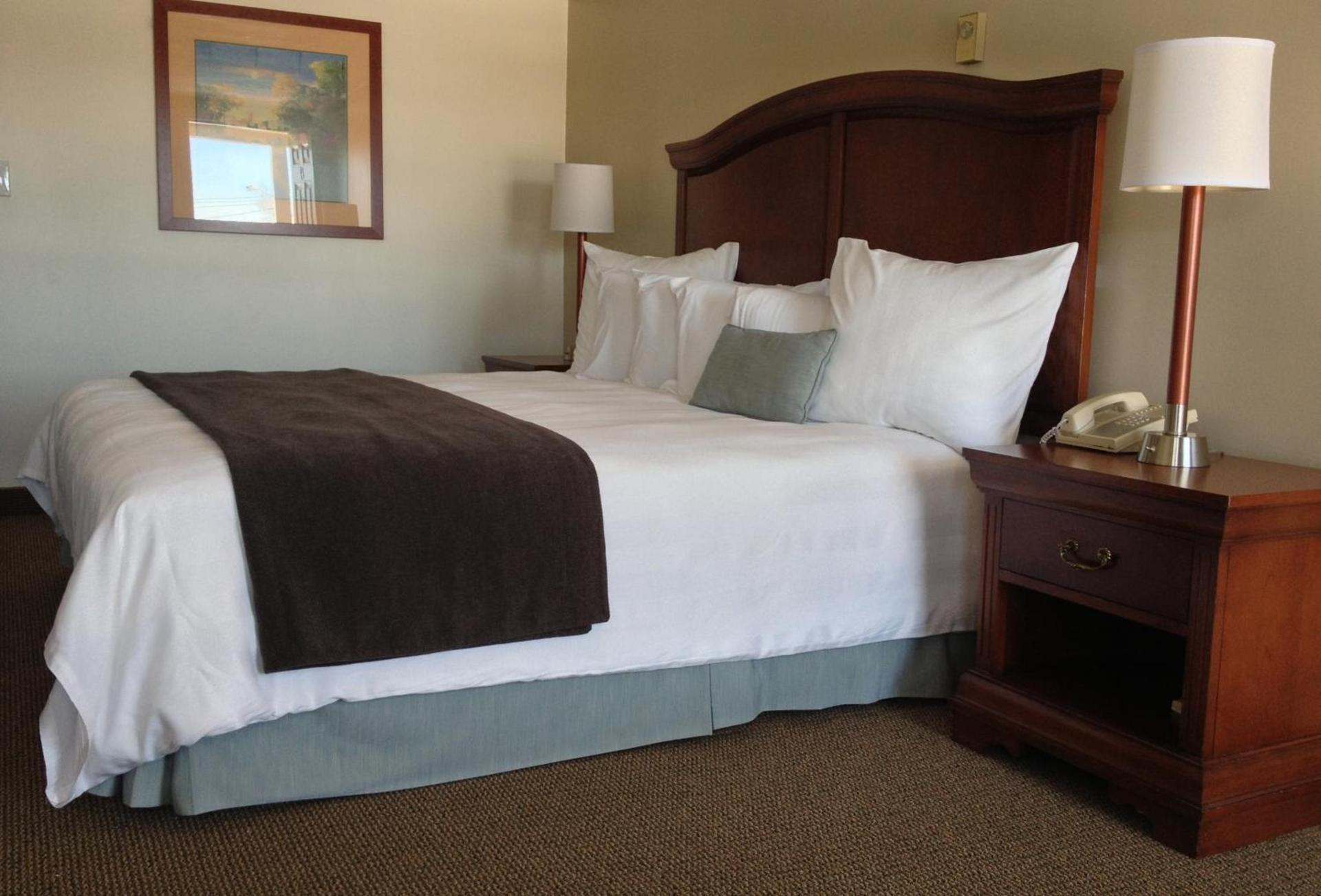 Holiday Hill Inn & Suites photo 25