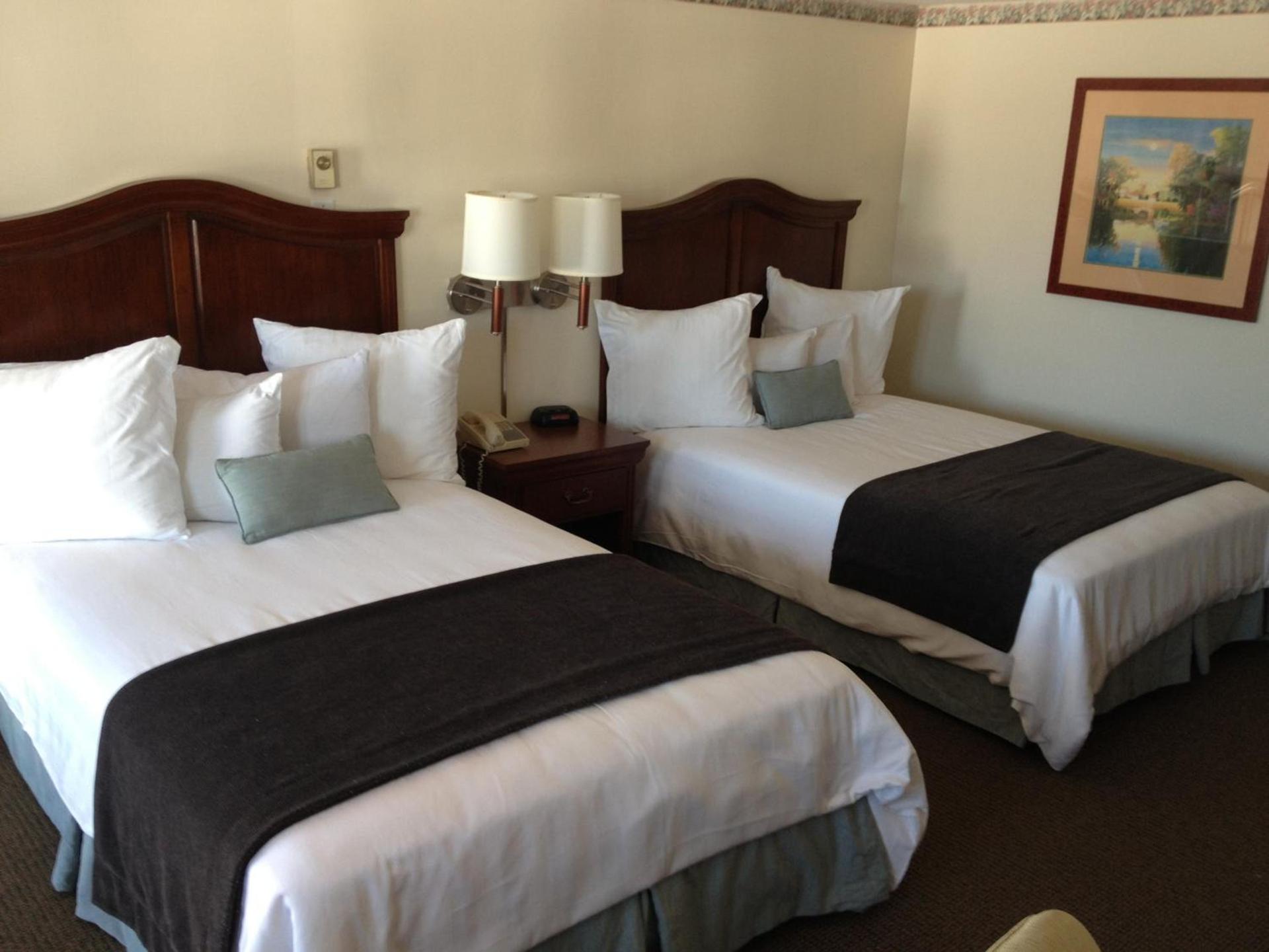 Holiday Hill Inn & Suites photo 23