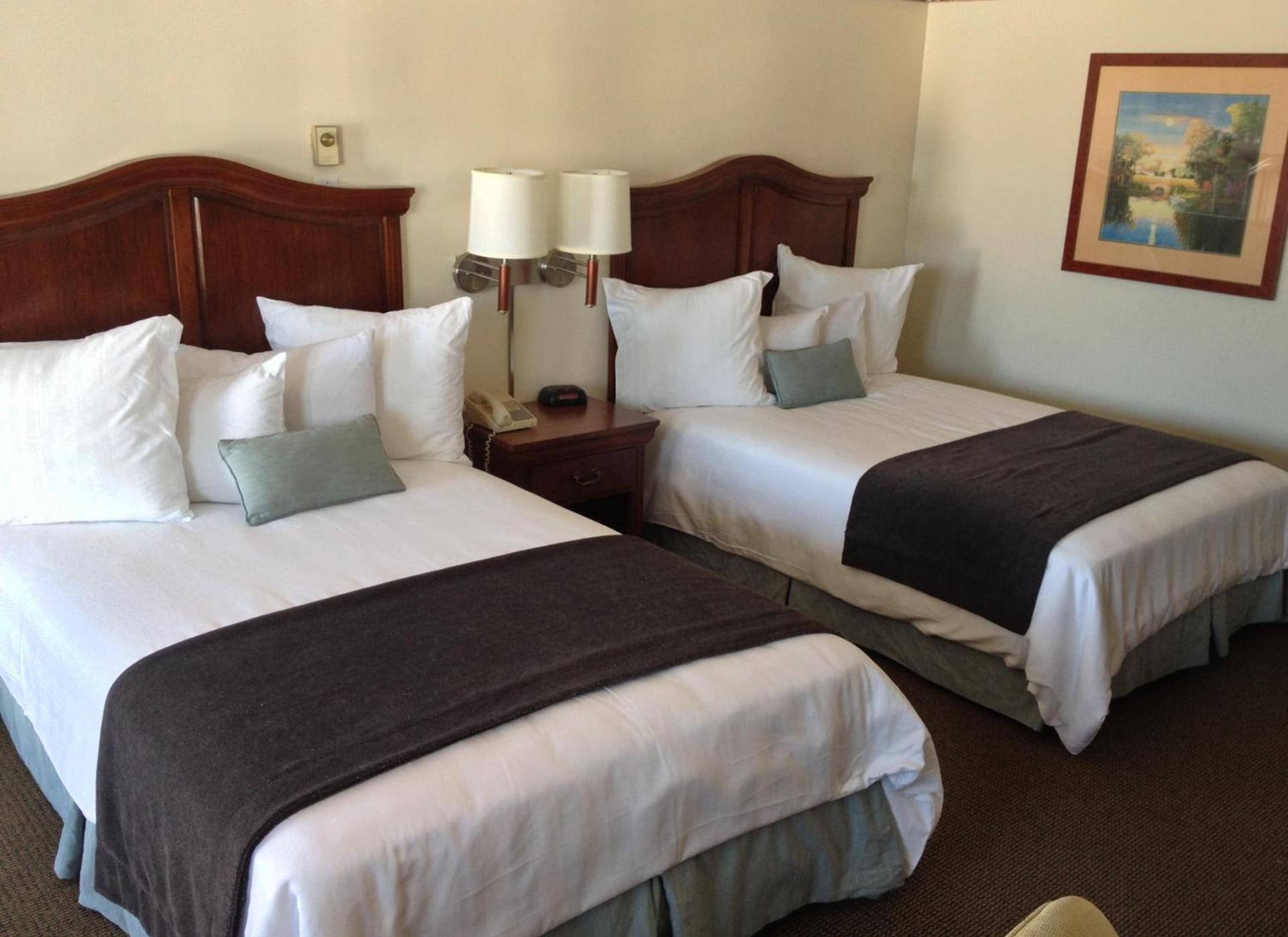 Holiday Hill Inn & Suites photo 28