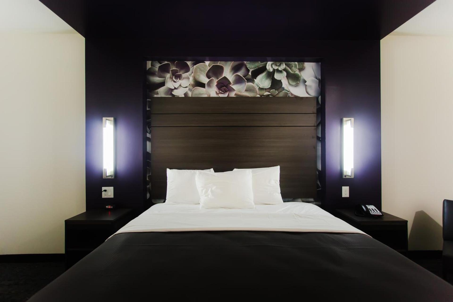 Palacio Royale Inn Boutique Katy photo 39