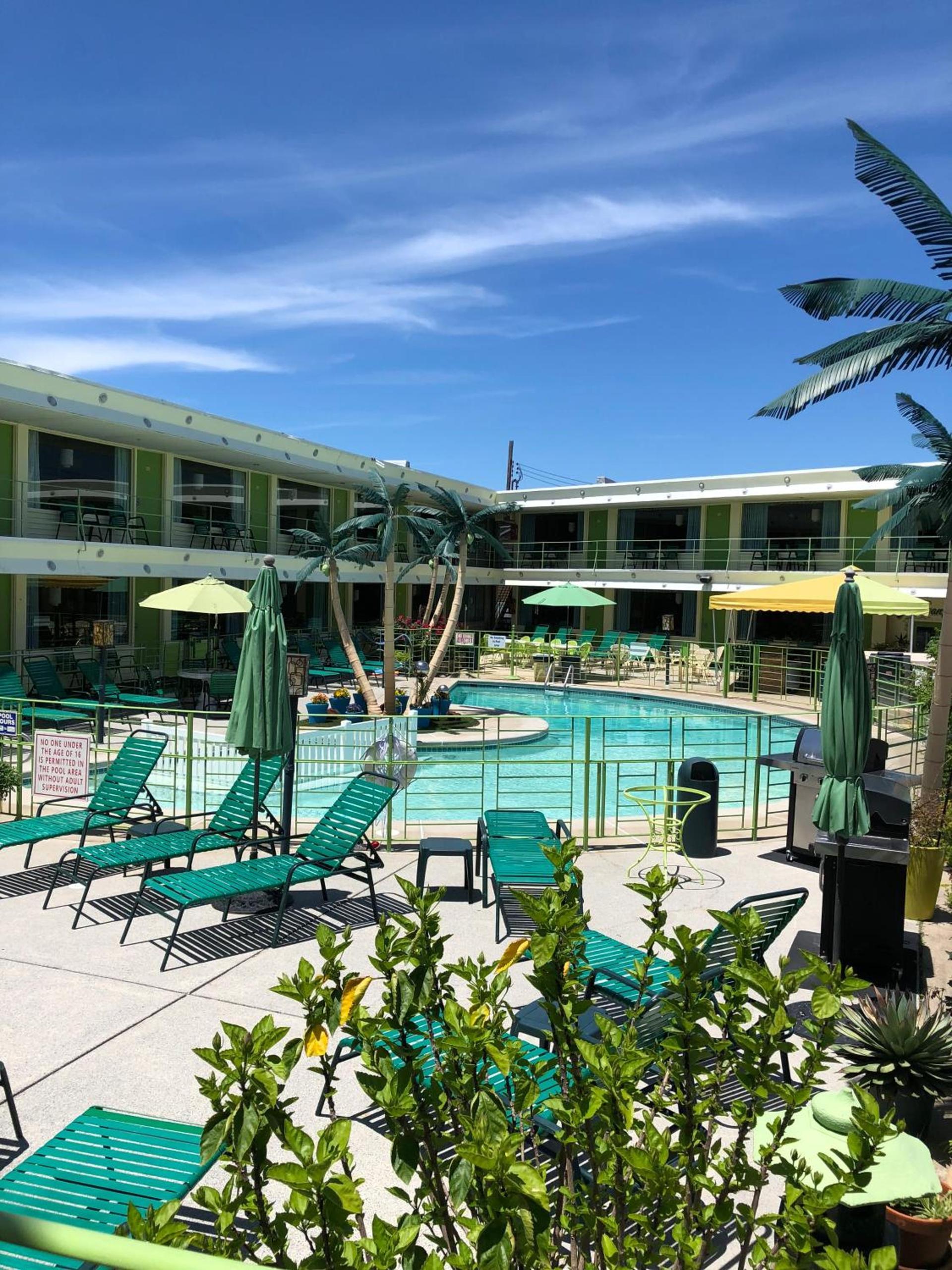 Caribbean Motel photo 12