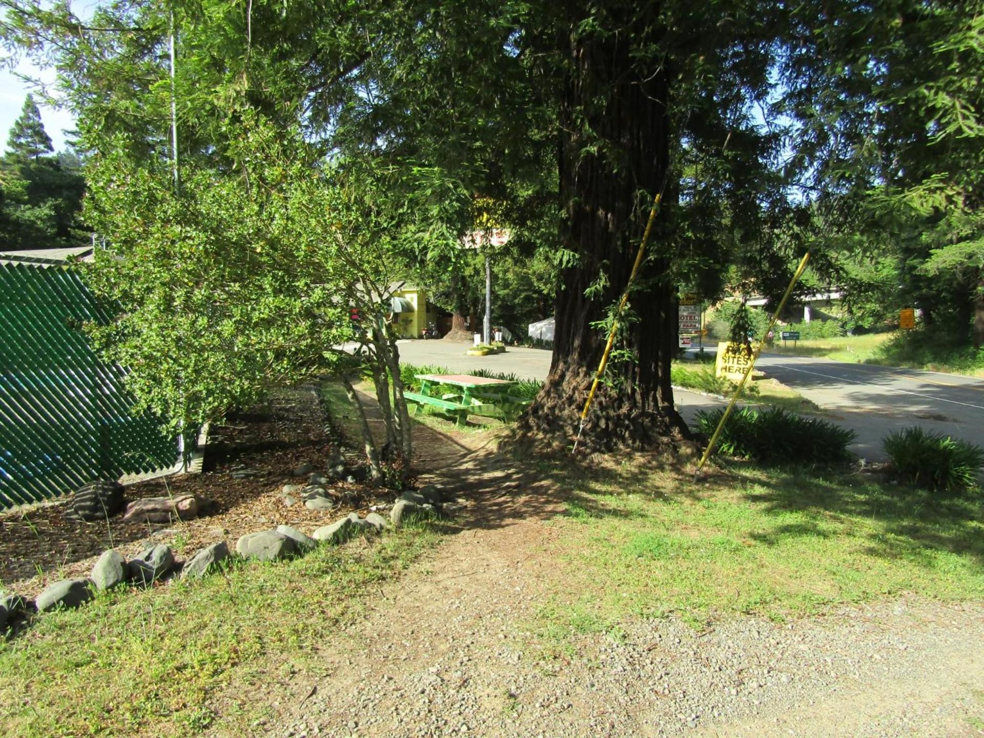 Dean Creek Resort photo 11