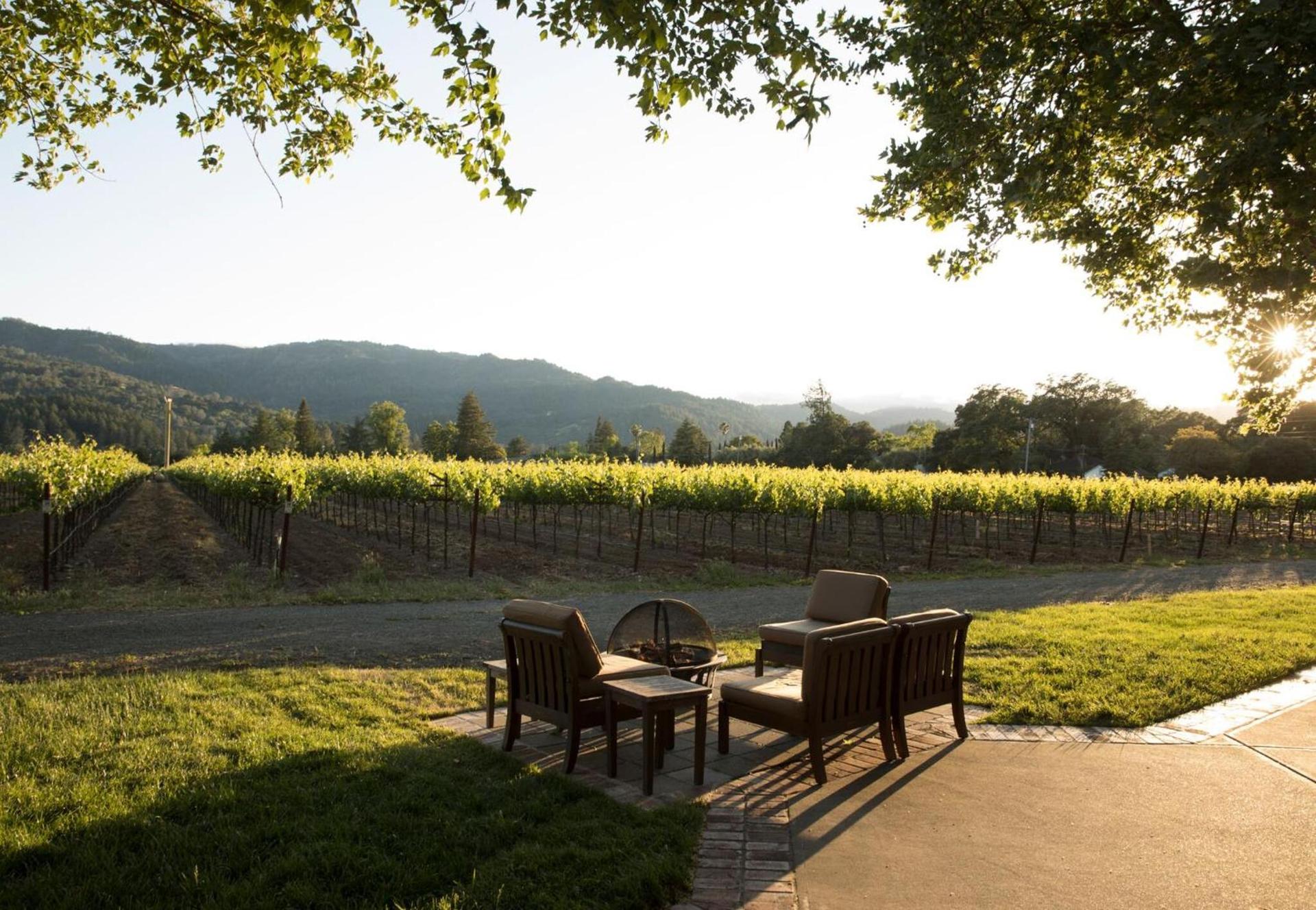 Harvest Inn photo 17