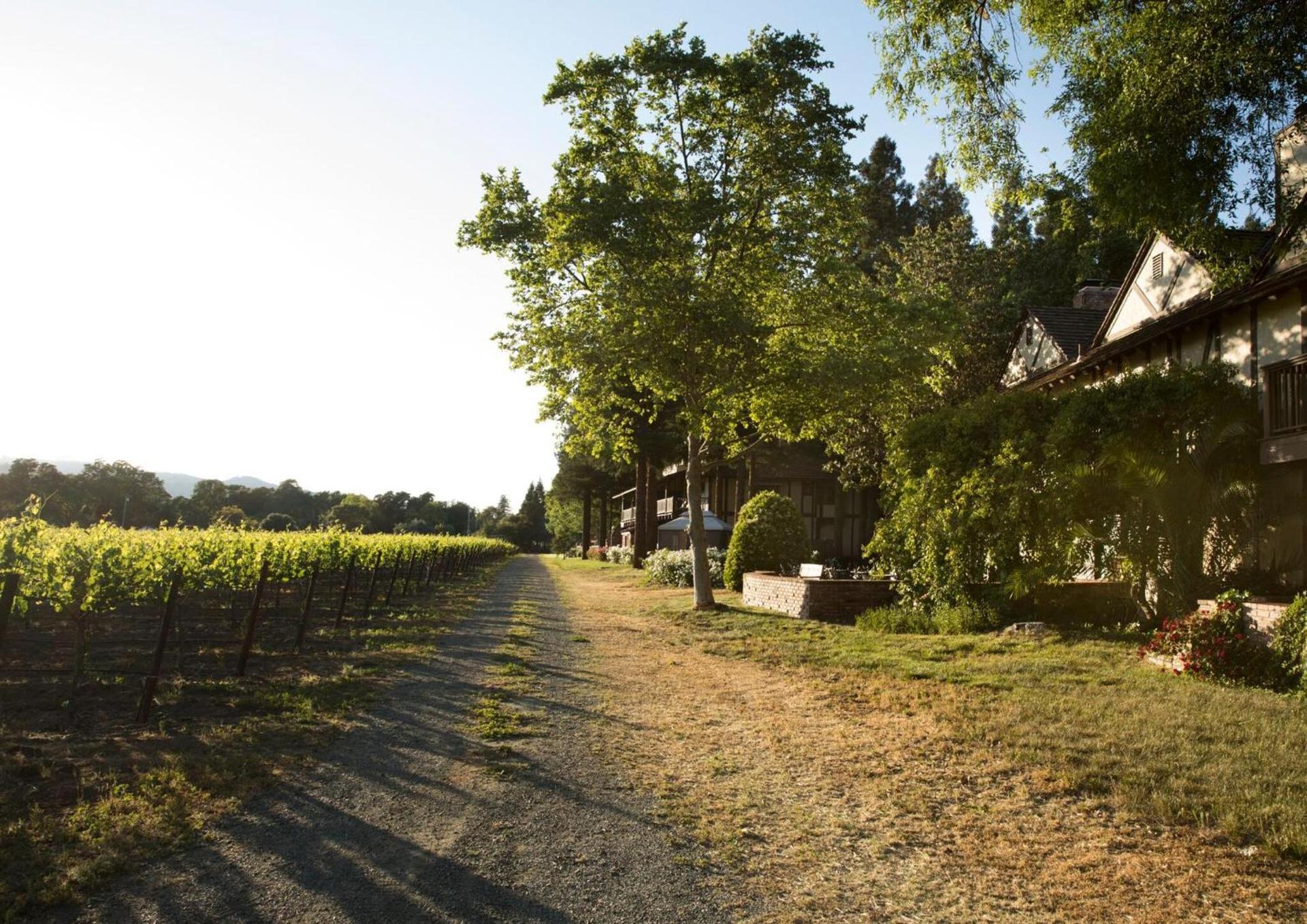 Harvest Inn photo 26