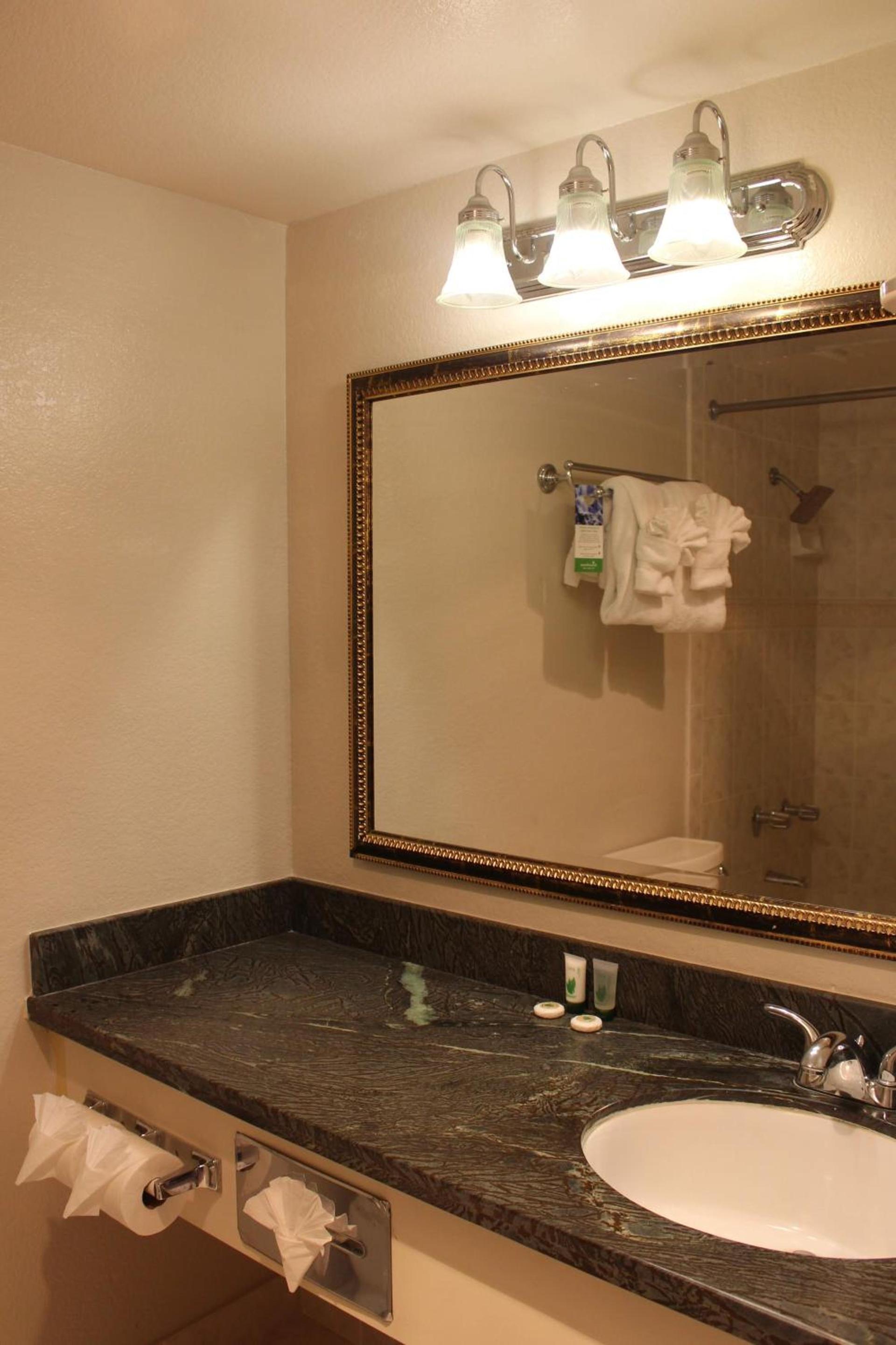 Cozy Inn photo 44