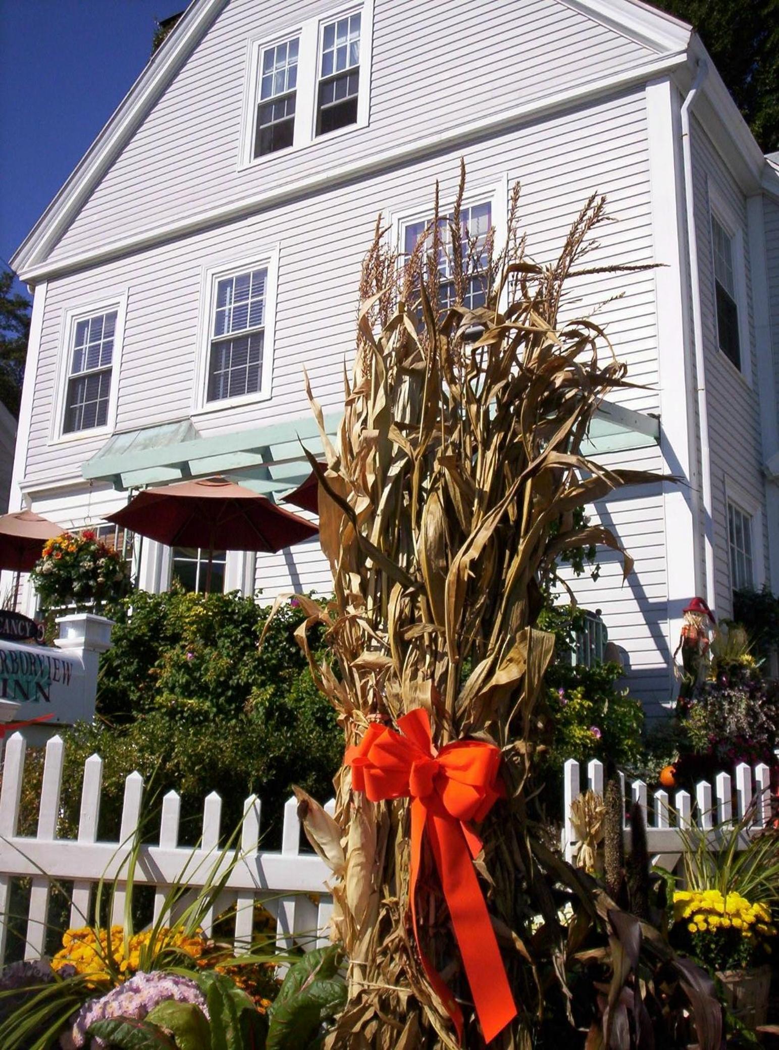 Harborview Inn photo 6